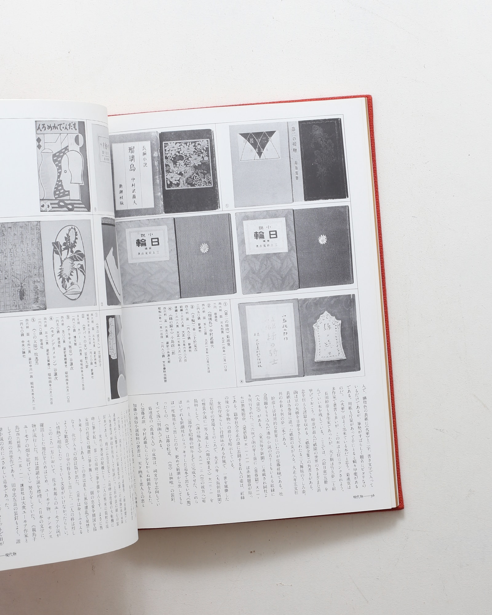 大衆文芸図誌 装釘・挿絵にみる昭和ロマンの世界 | 八木昇 | nostos