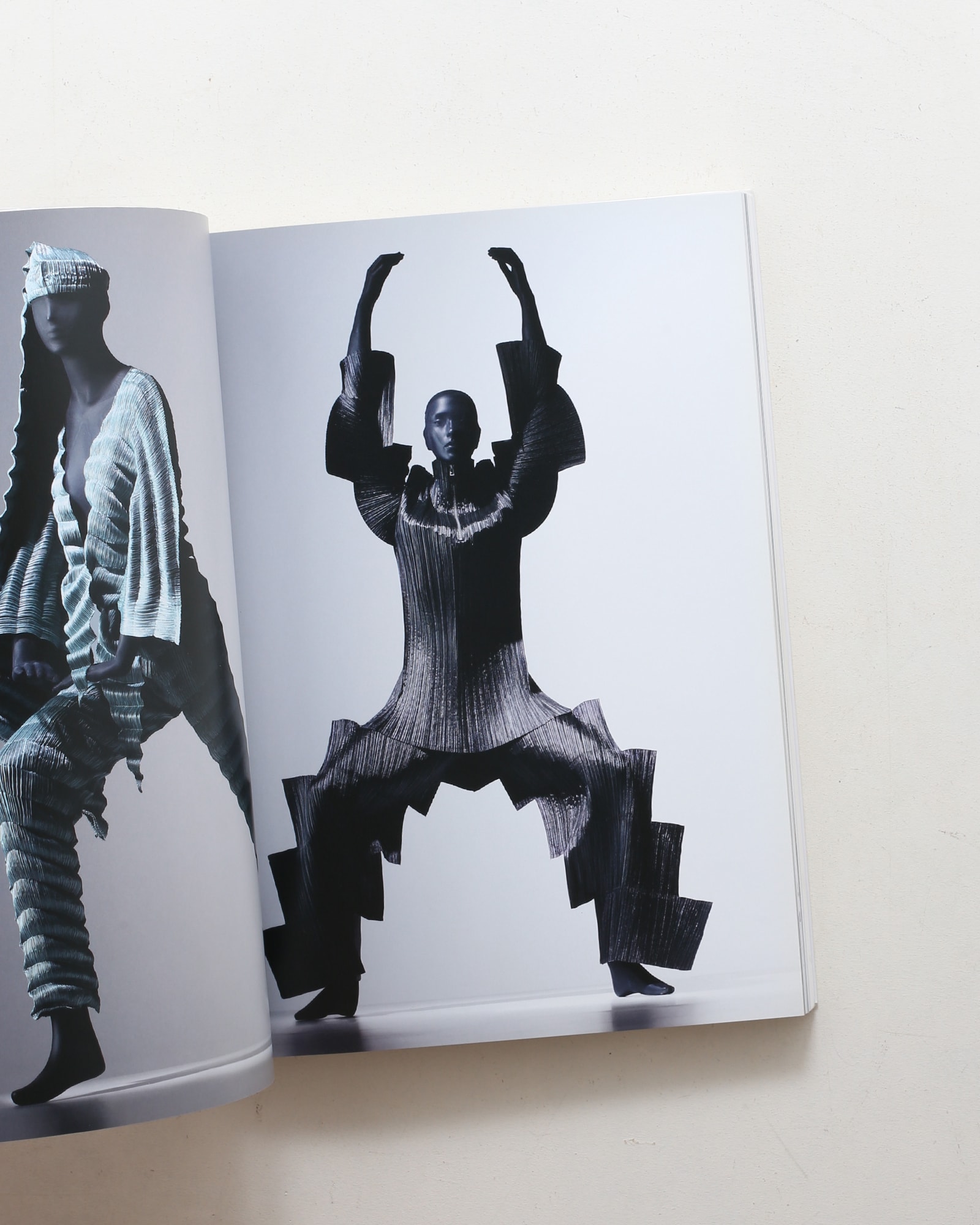 MIYAKE ISSEY展 三宅一生の仕事 | nostos books ノストスブックス