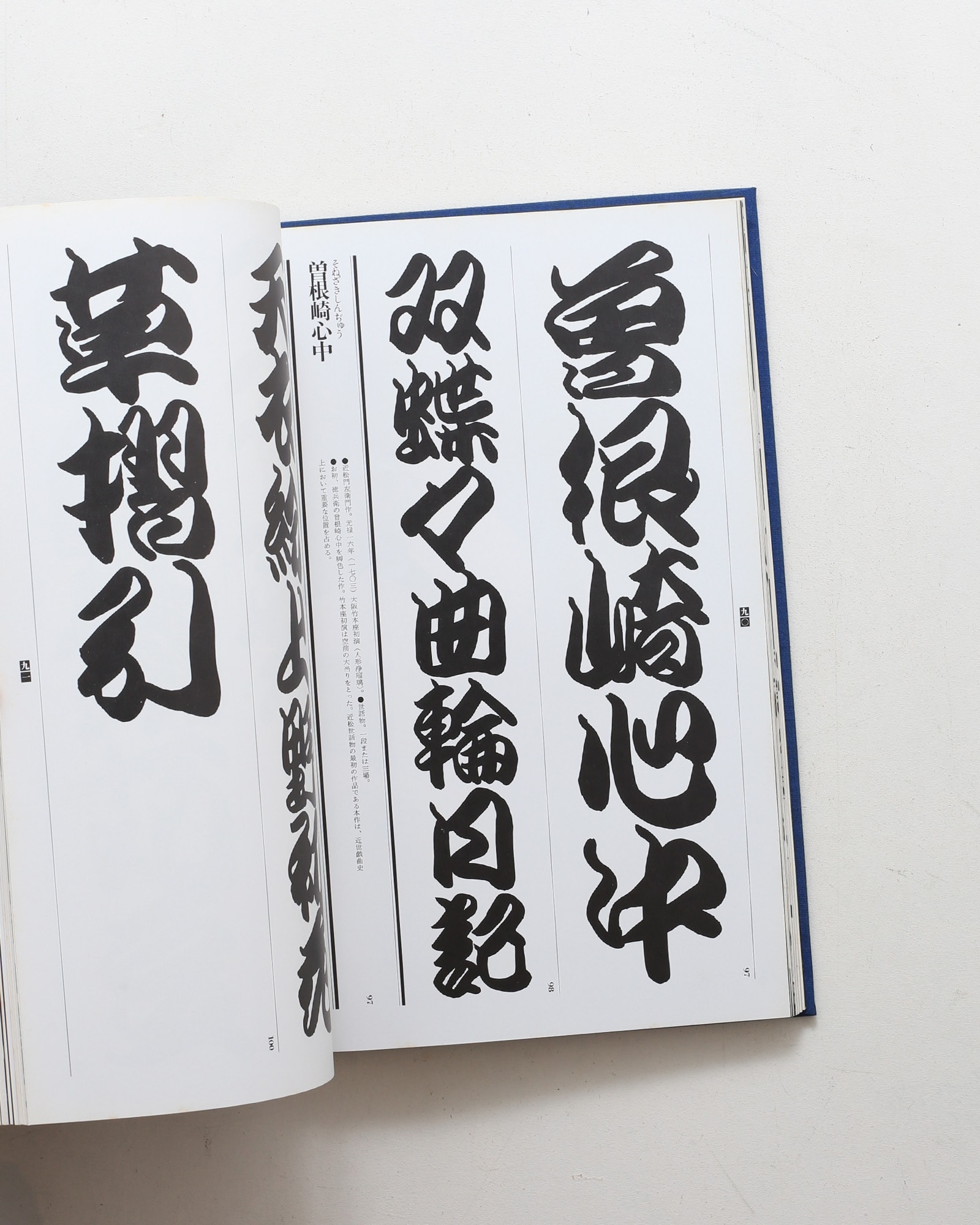nsts-10925