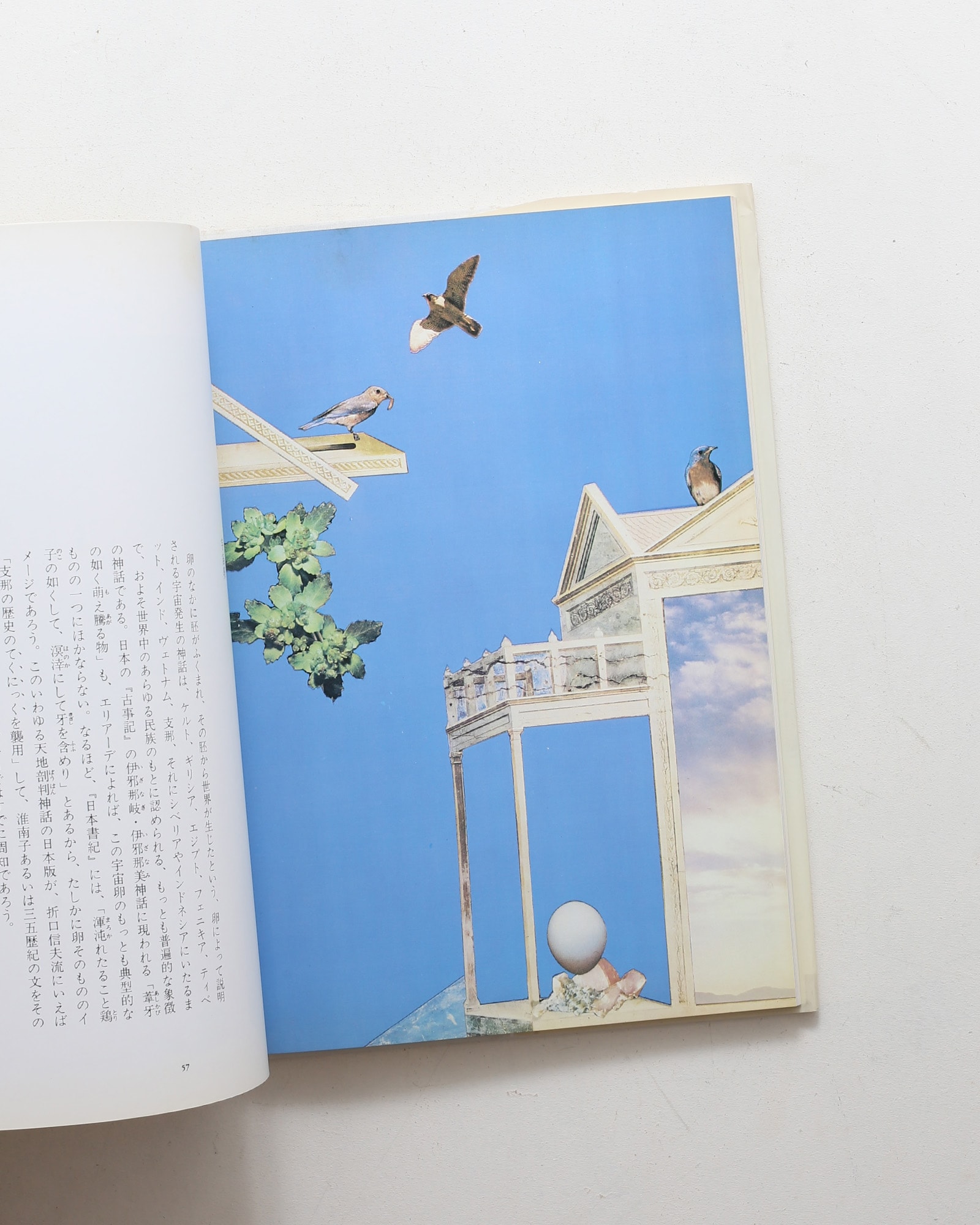 野中ユリ先生著作　野中ユリ画集　妖精たちの森　文　澁澤龍彦先生　初版カバー帯付属 妖精たちの森 | 野中ユリ、澁澤龍彦 | nostos books ノストスブックス