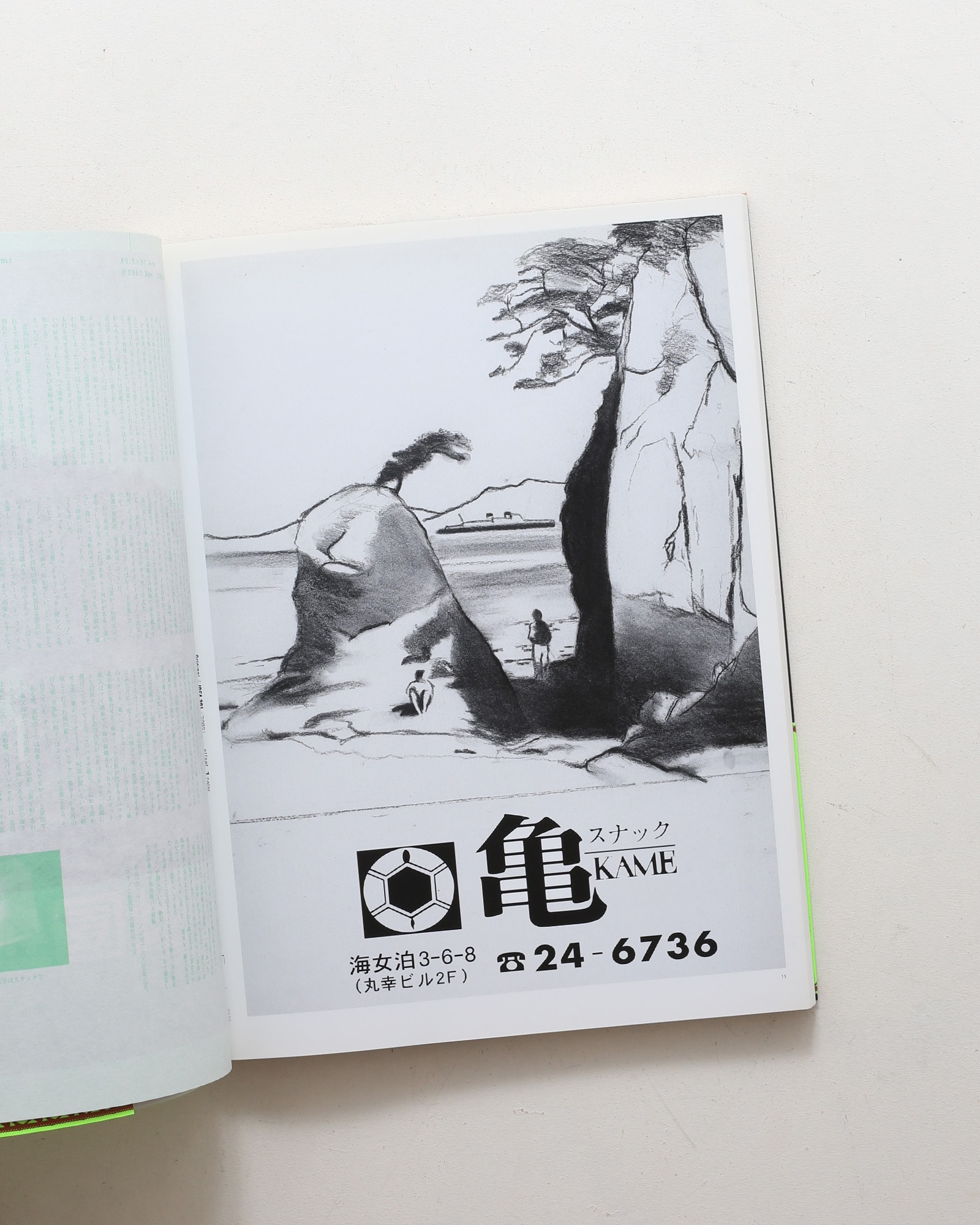 nsts-00173
