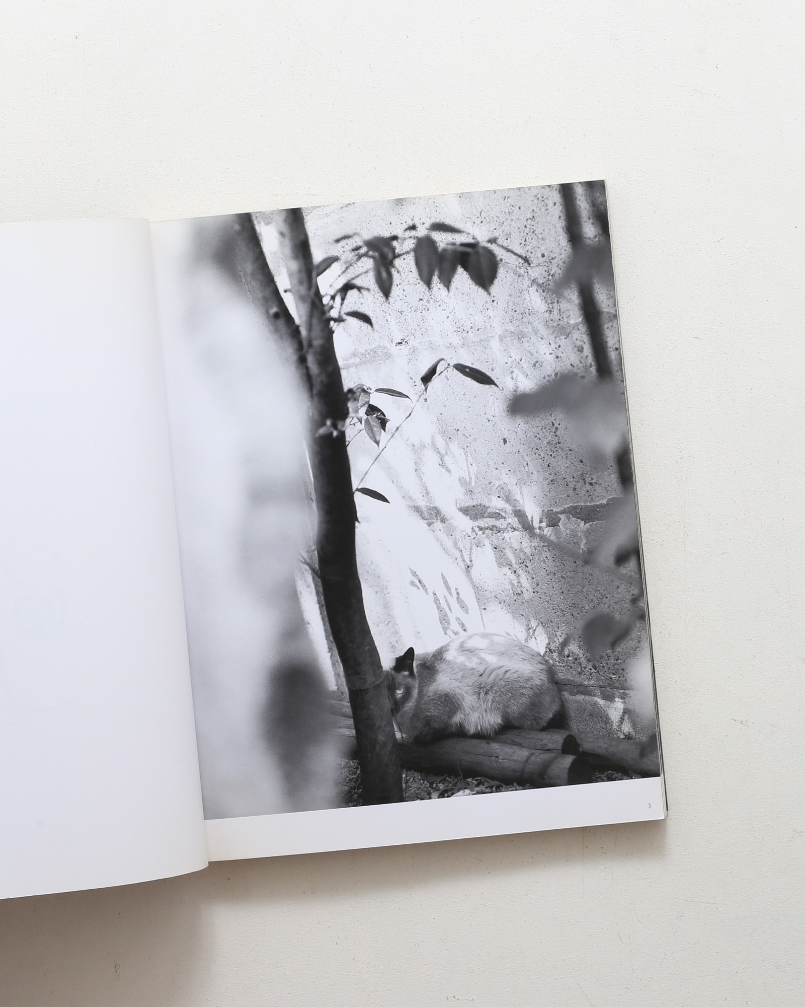 nsts-00979