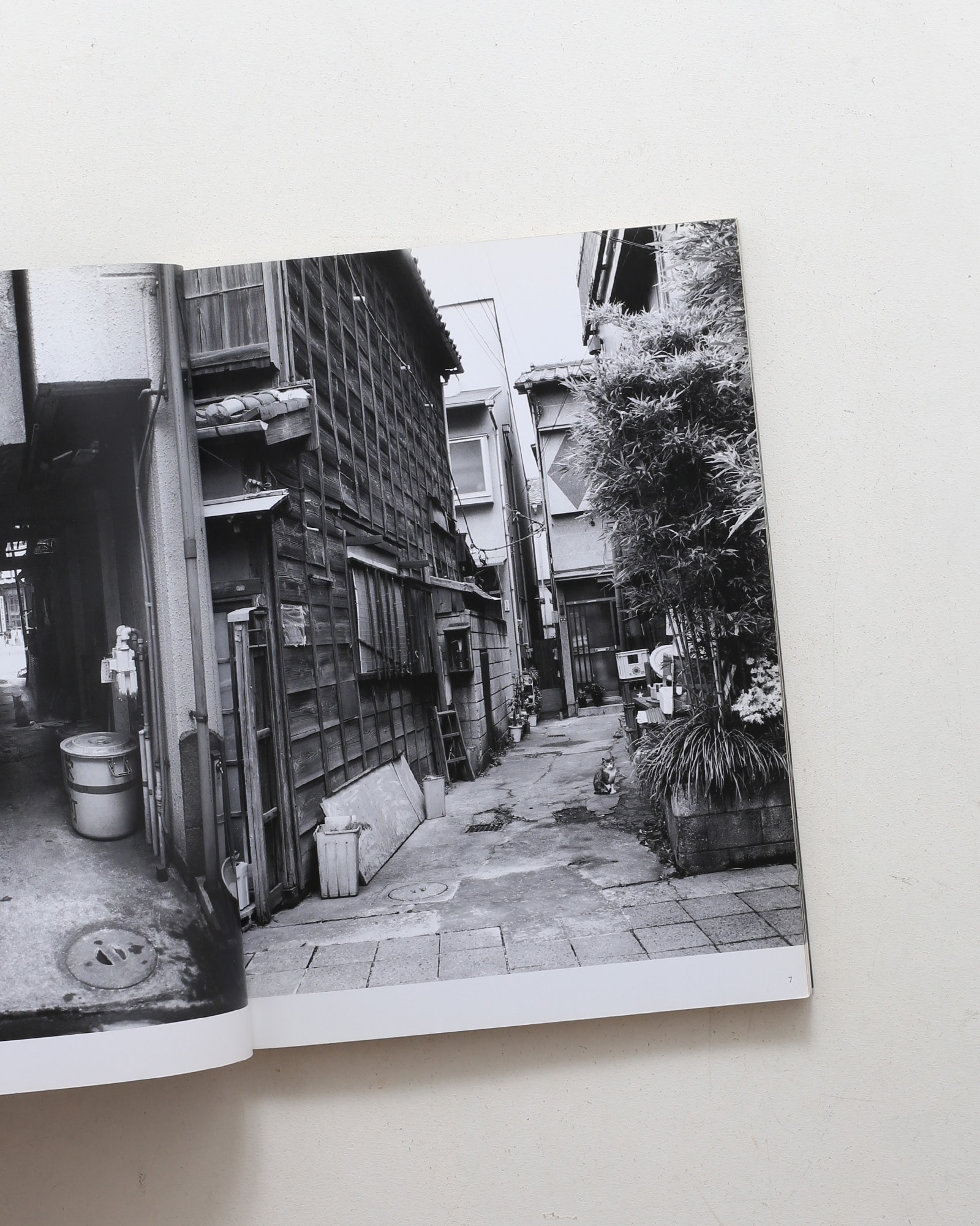 nsts-00979