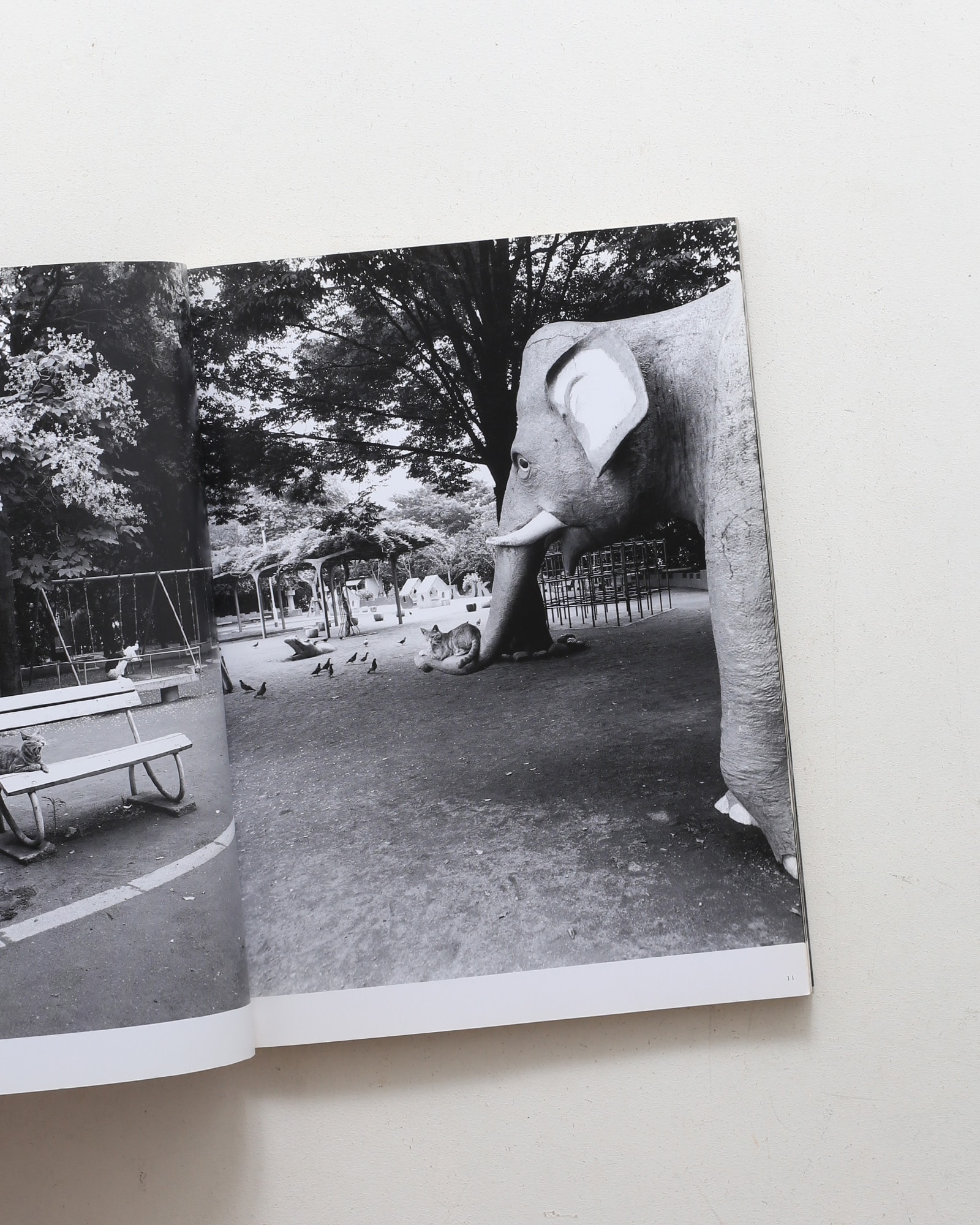 nsts-00979