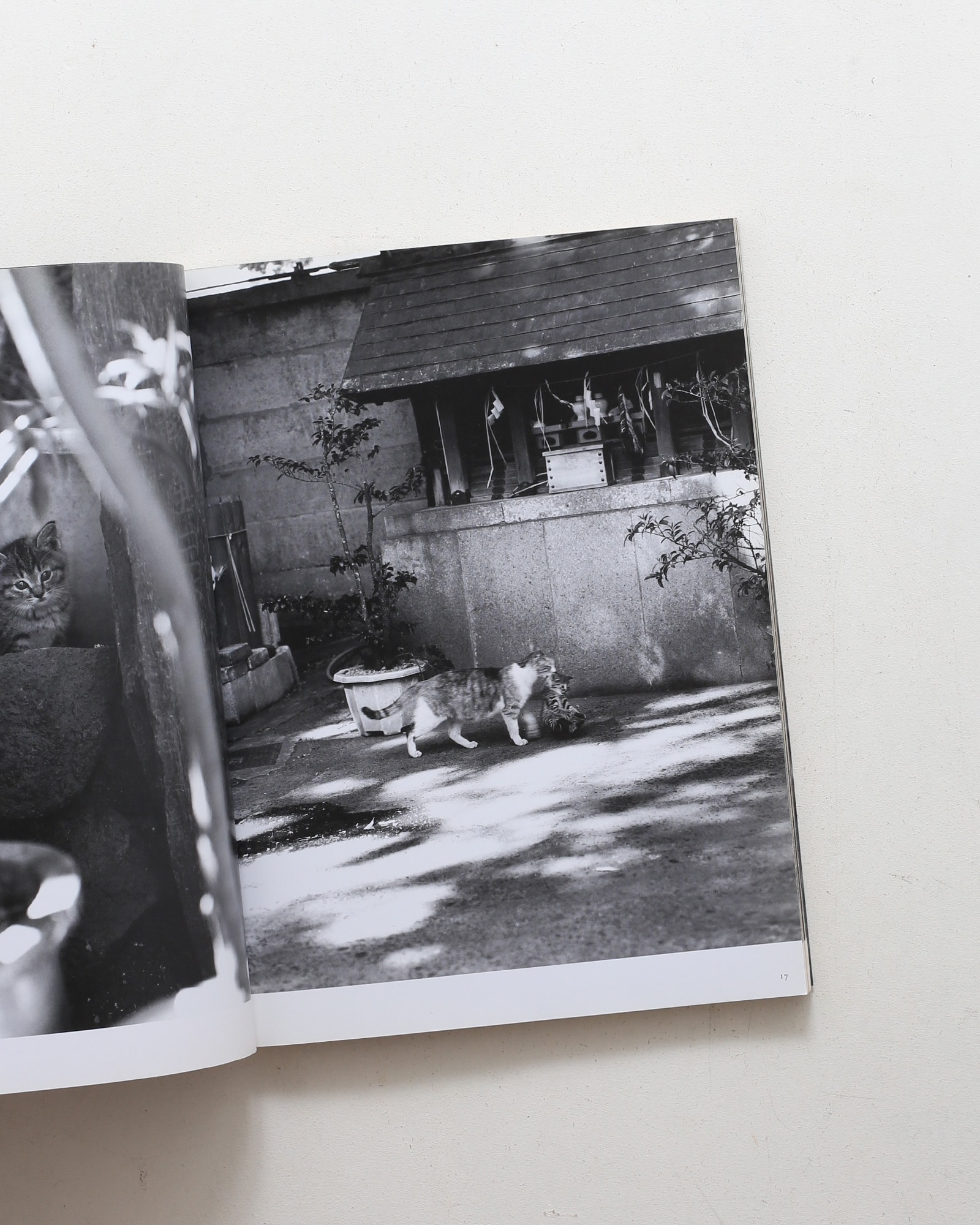nsts-00979