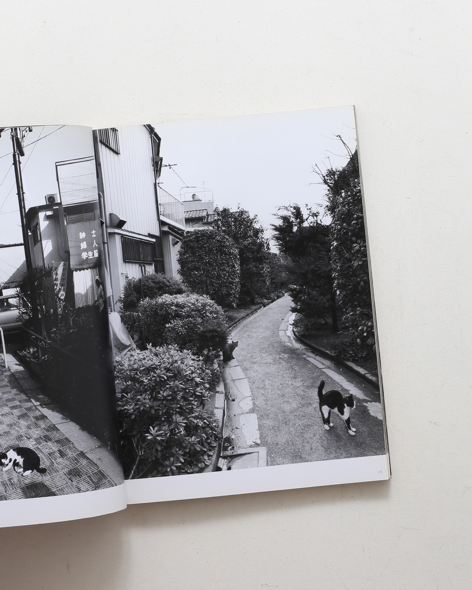 nsts-00979