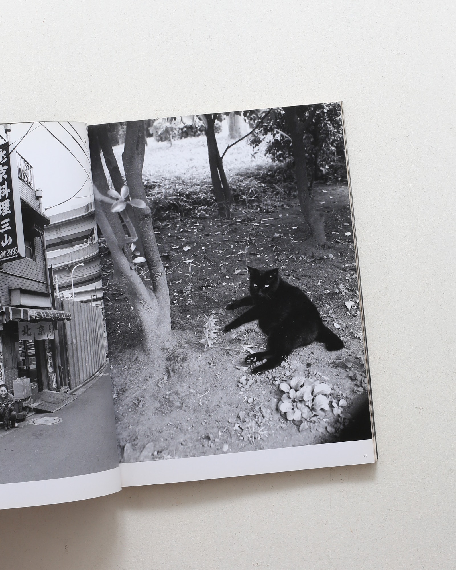 nsts-00979