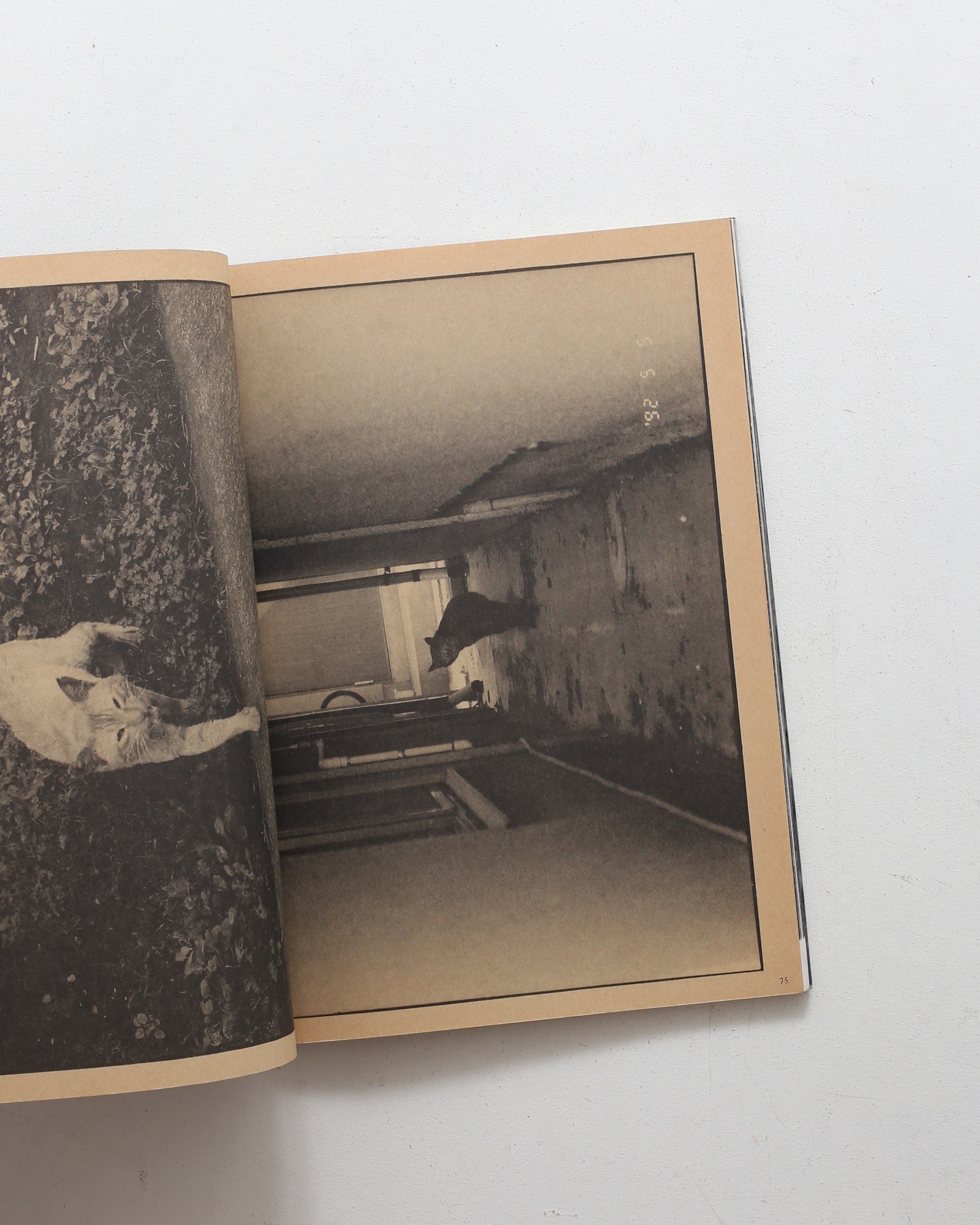 nsts-00979