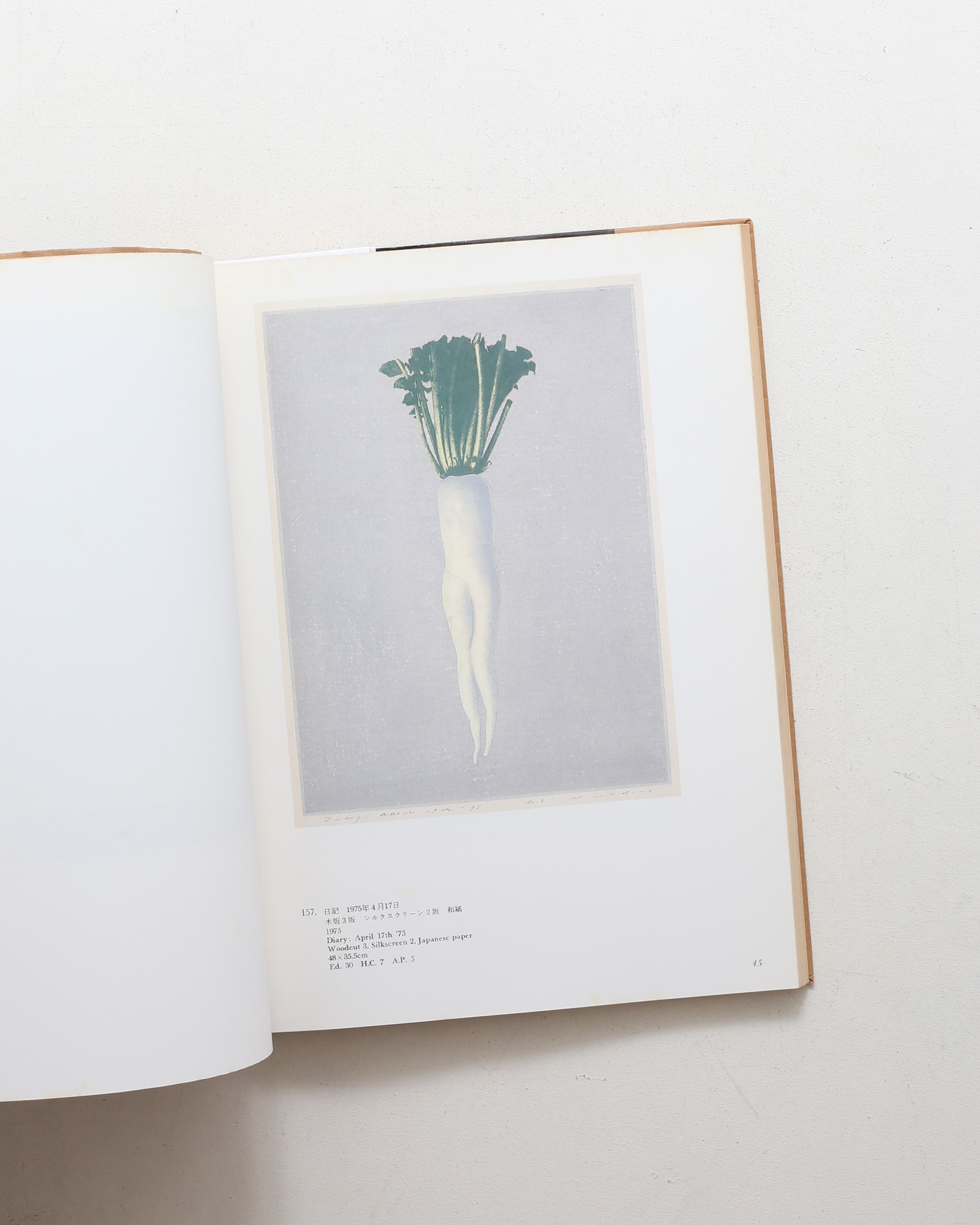 野田哲也全作品 1964-1978 | nostos books ノストスブックス