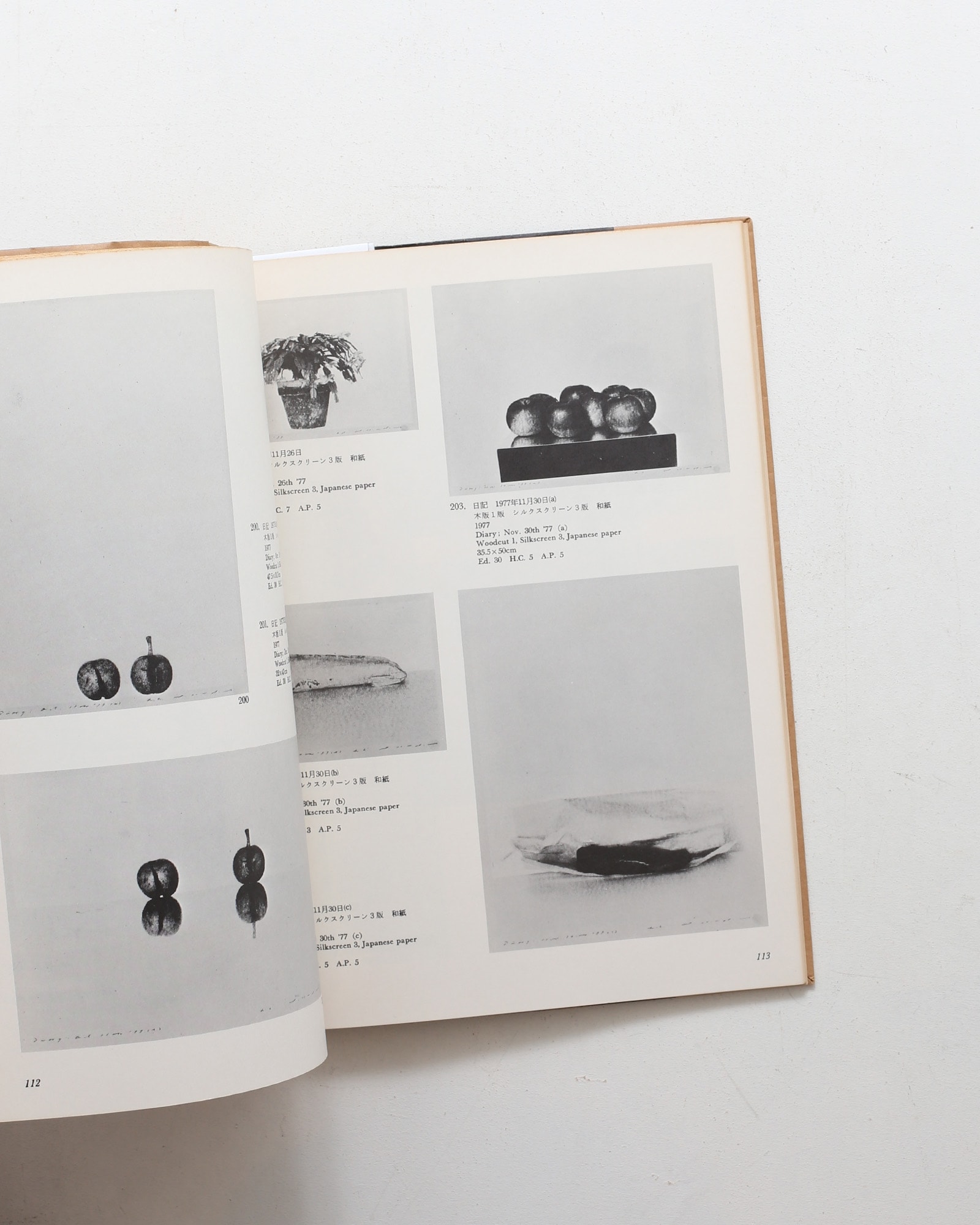野田哲也全作品 1964-1978 | nostos books ノストスブックス