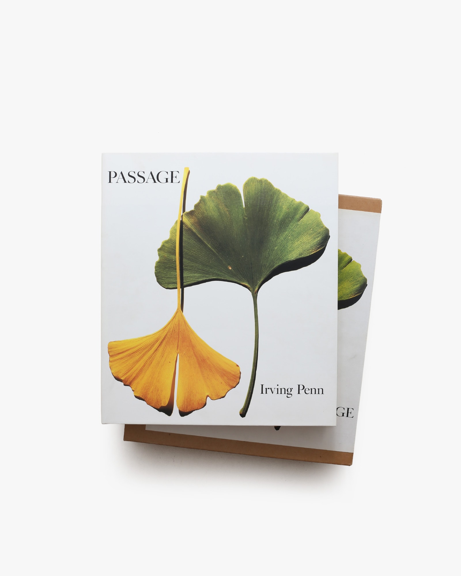 ★Irving Penn PASSAGEアーヴィング・ペンパッセージ作品集写真集 パッセージ Passage | アーヴィング・ペン | nostos books ノストス