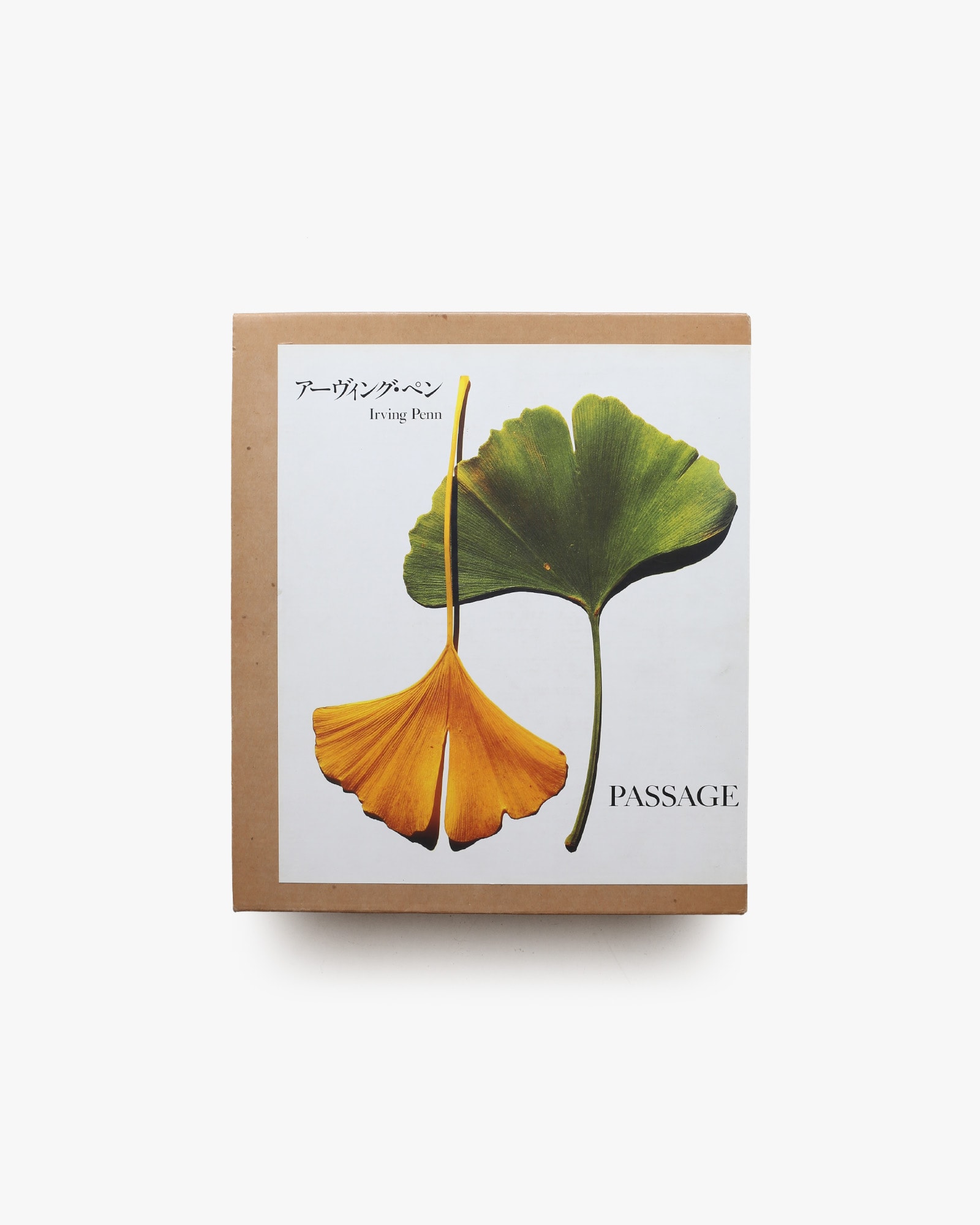 PASSAGE アーヴィング・ペン　アーヴィンペン　パッセージ パッセージ Passage | アーヴィング・ペン | nostos books ノストス
