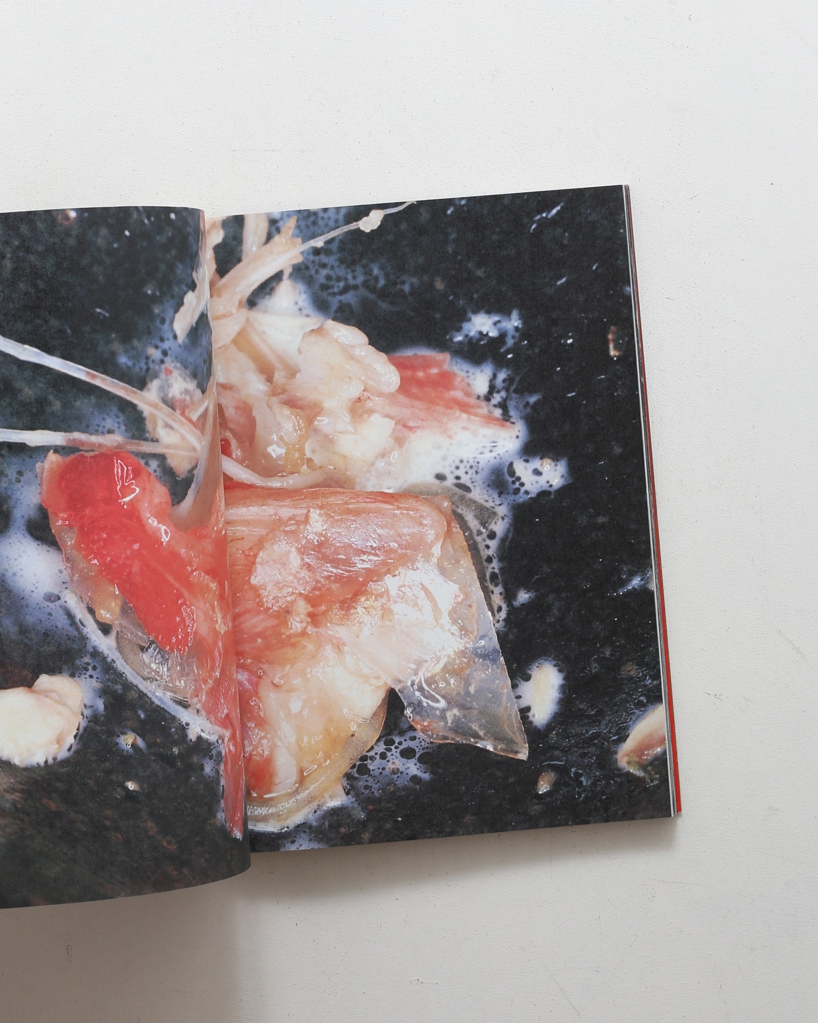 nsts-02642