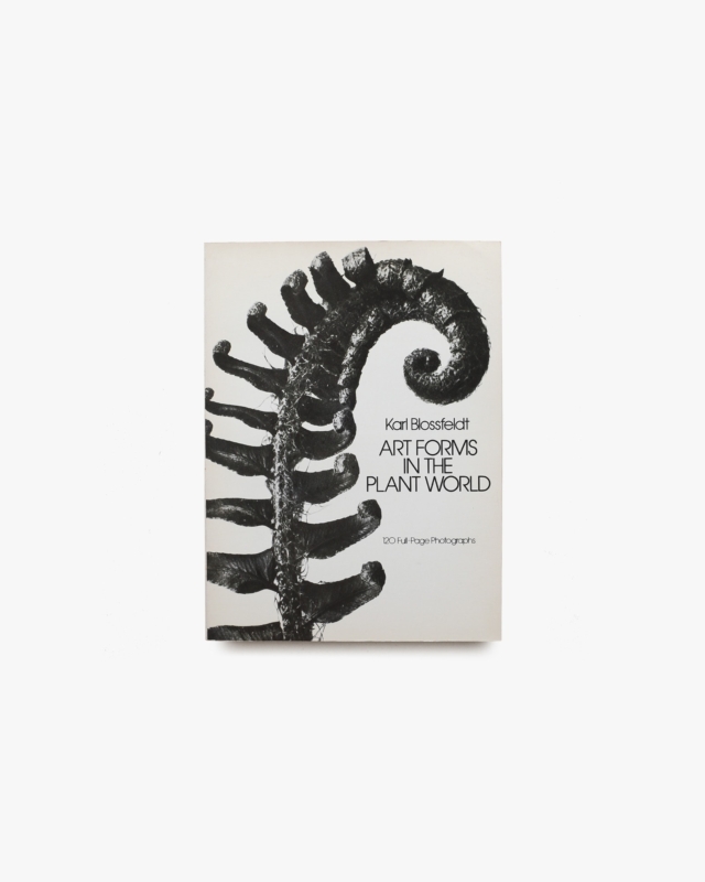 Art Forms in the Plant World | Karl Blossfeldt