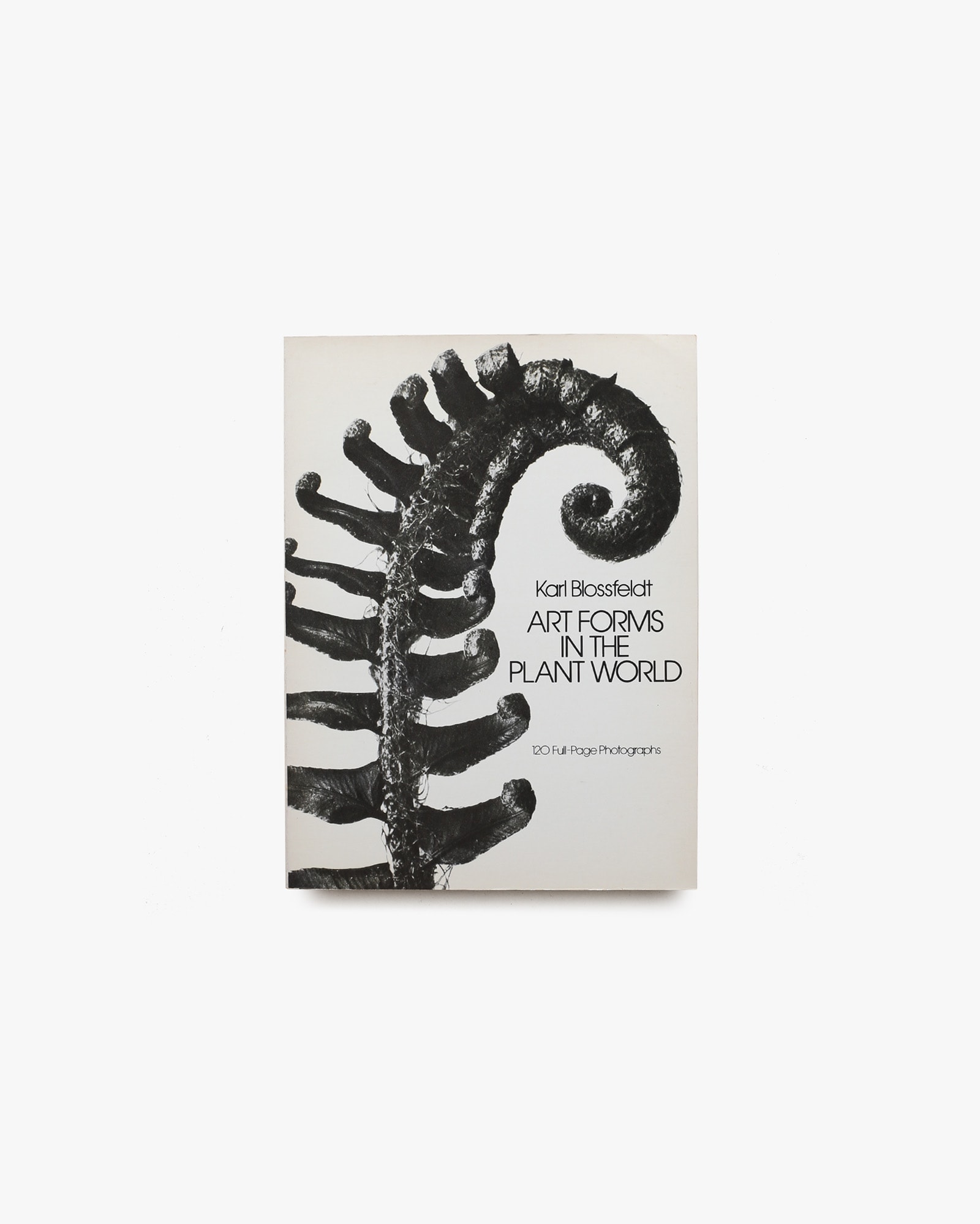 Art Forms in the Plant World | Karl Blossfeldt | nostos books