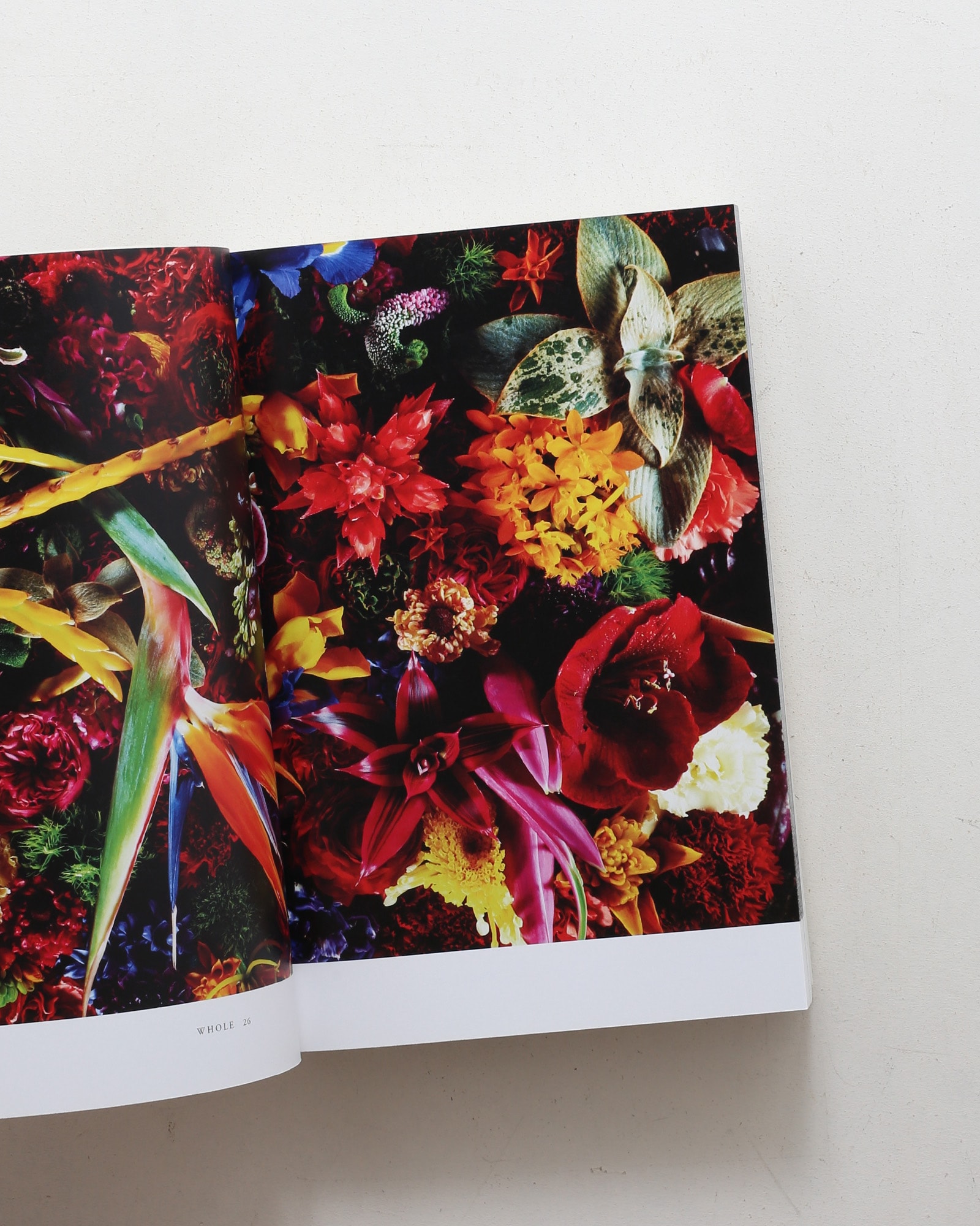 nsts-07909