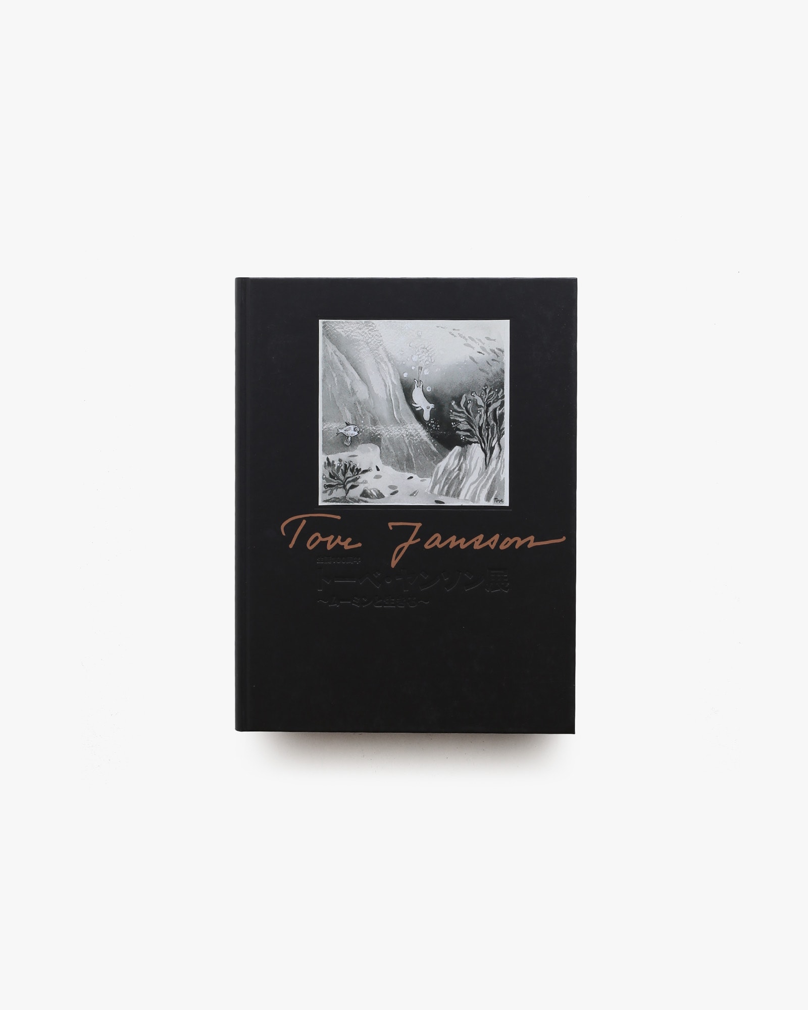 nsts-08204