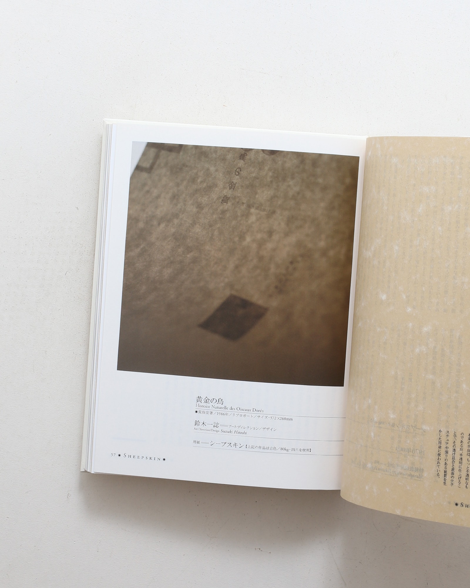 nsts-08224