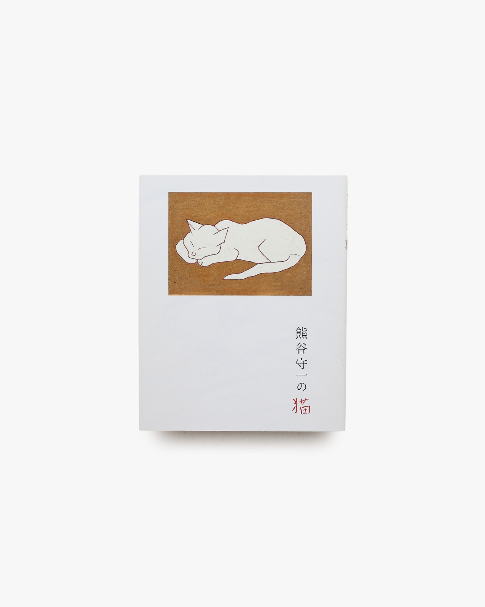 nsts-08382