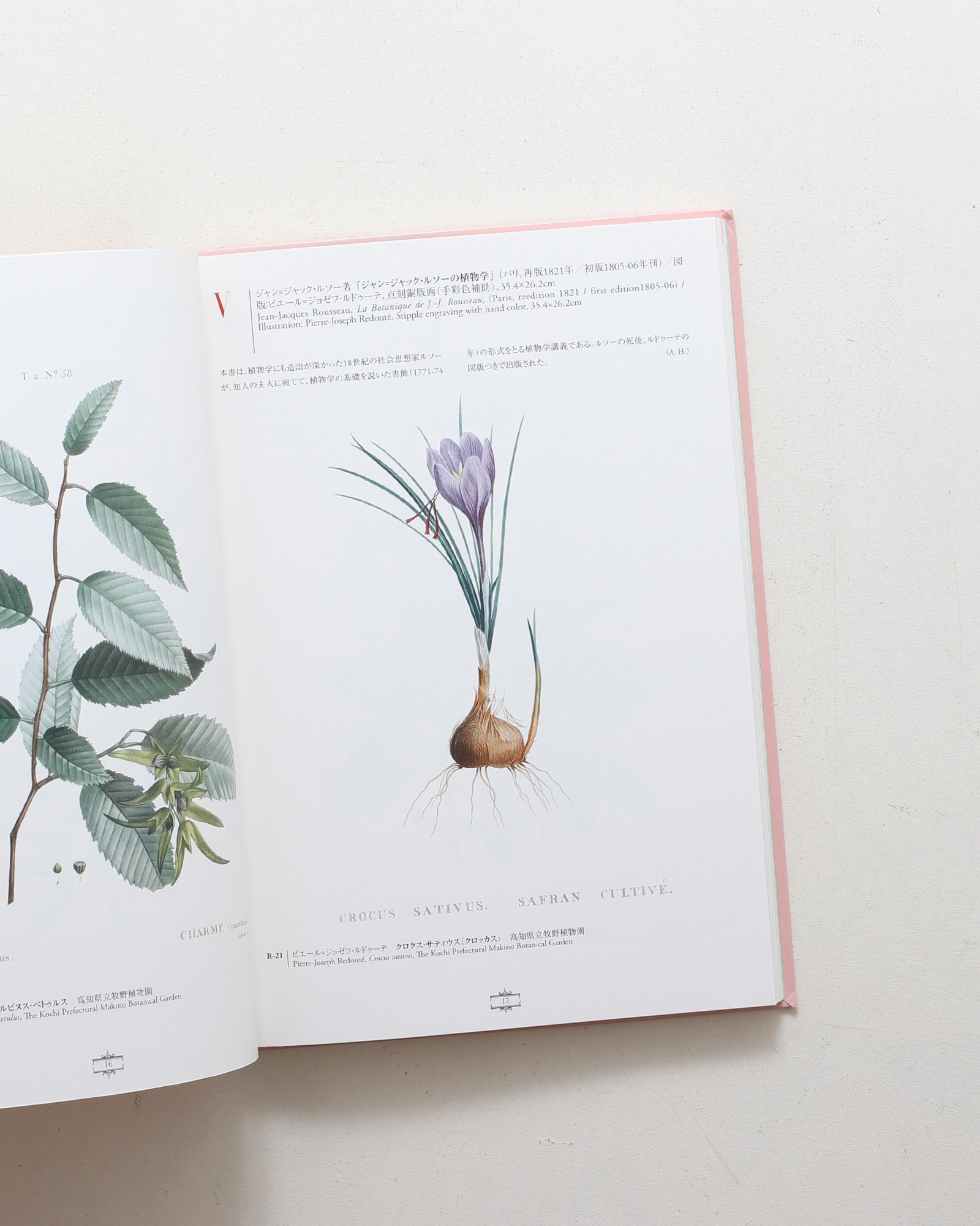 花の画家 ルドゥーテ「美花選」展 | nostos books ノストスブックス