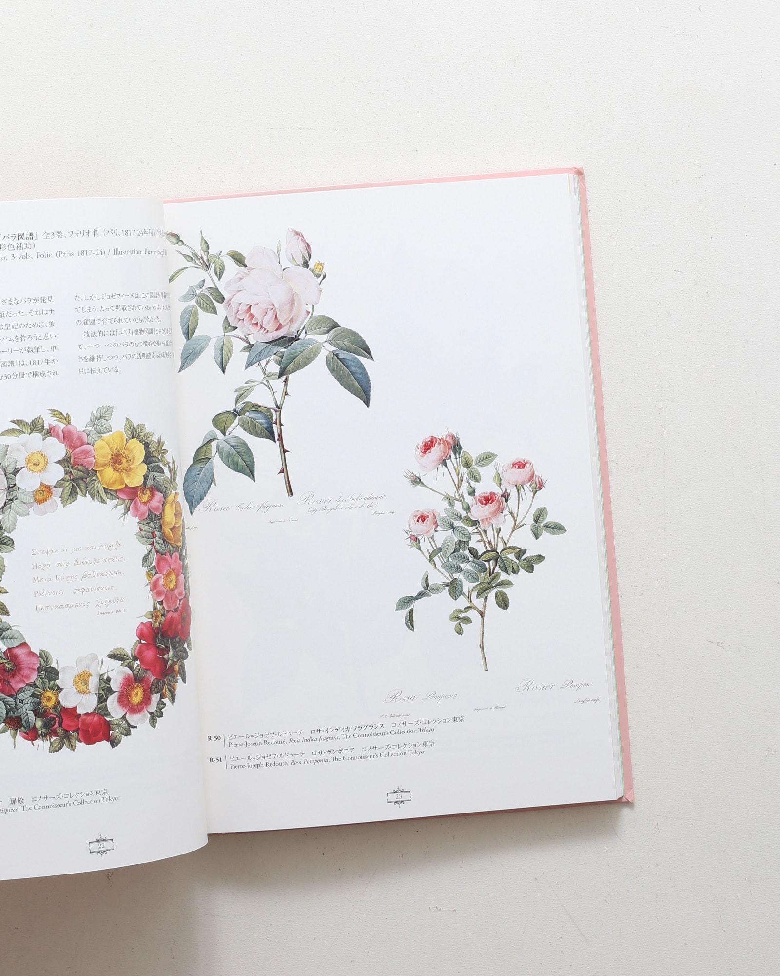 花の画家 ルドゥーテ「美花選」展 | nostos books ノストスブックス