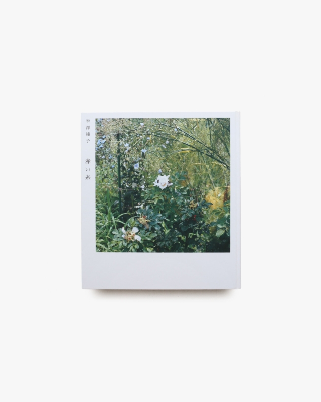 赤い糸 | 米澤純子