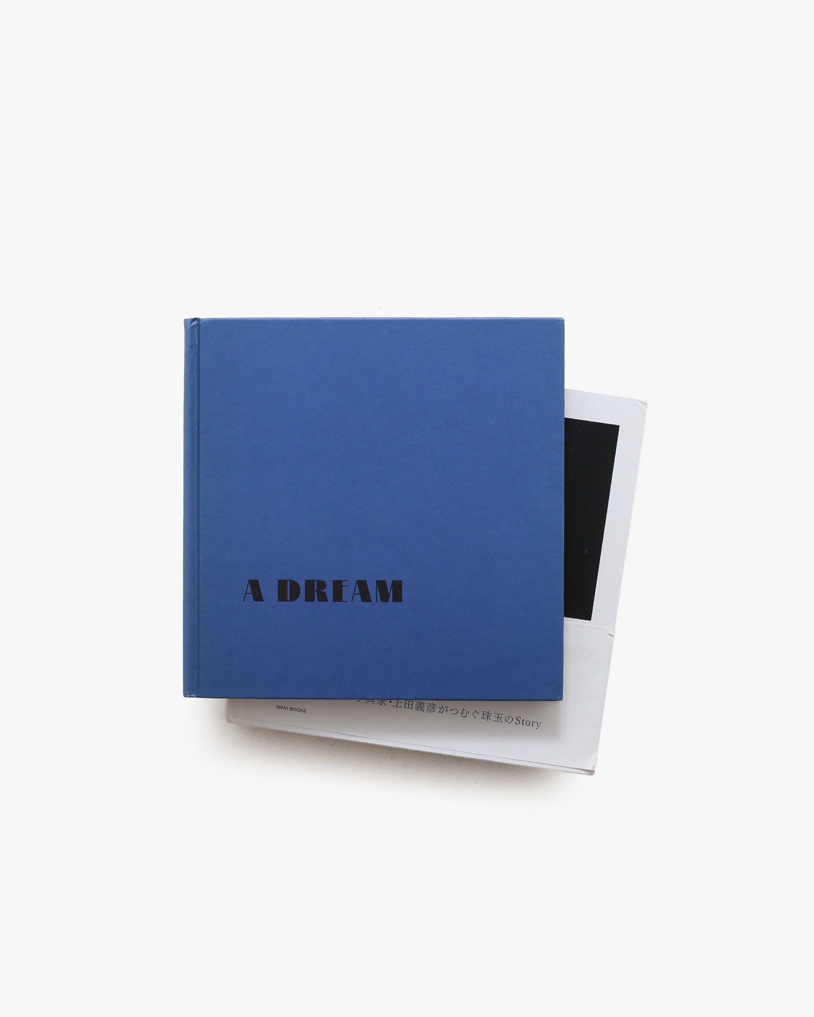 蒼井優写真集 A Dream | 上田義彦 | nostos books ノストスブックス
