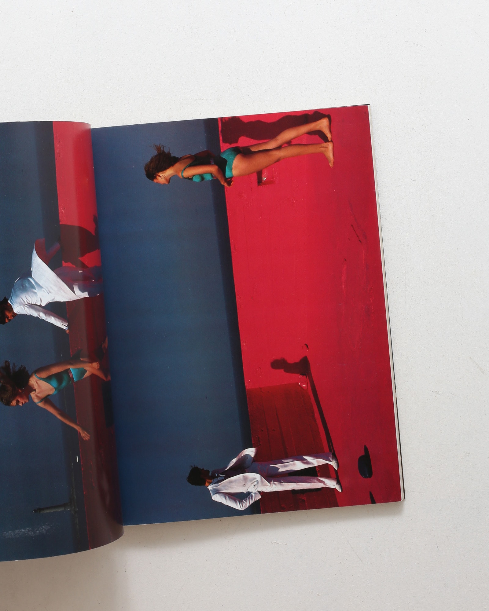写真集 いろいろ 操上和美写真集 Alternates | nostos books ノストスブックス