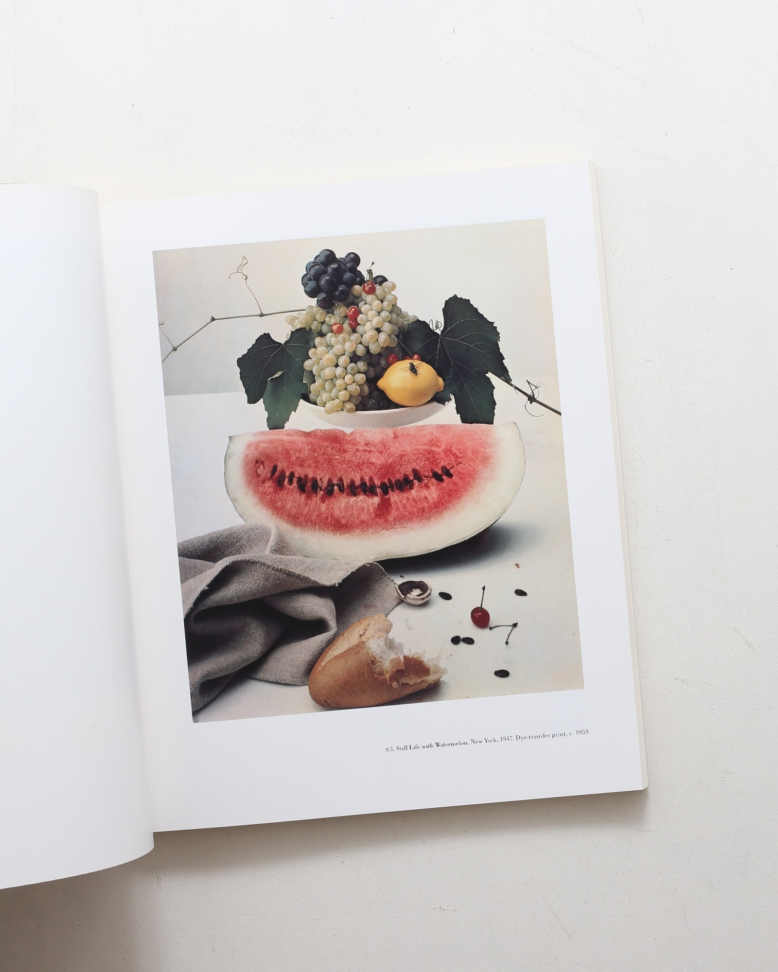 Irving Penn | John Szarkowski | nostos books ノストスブックス