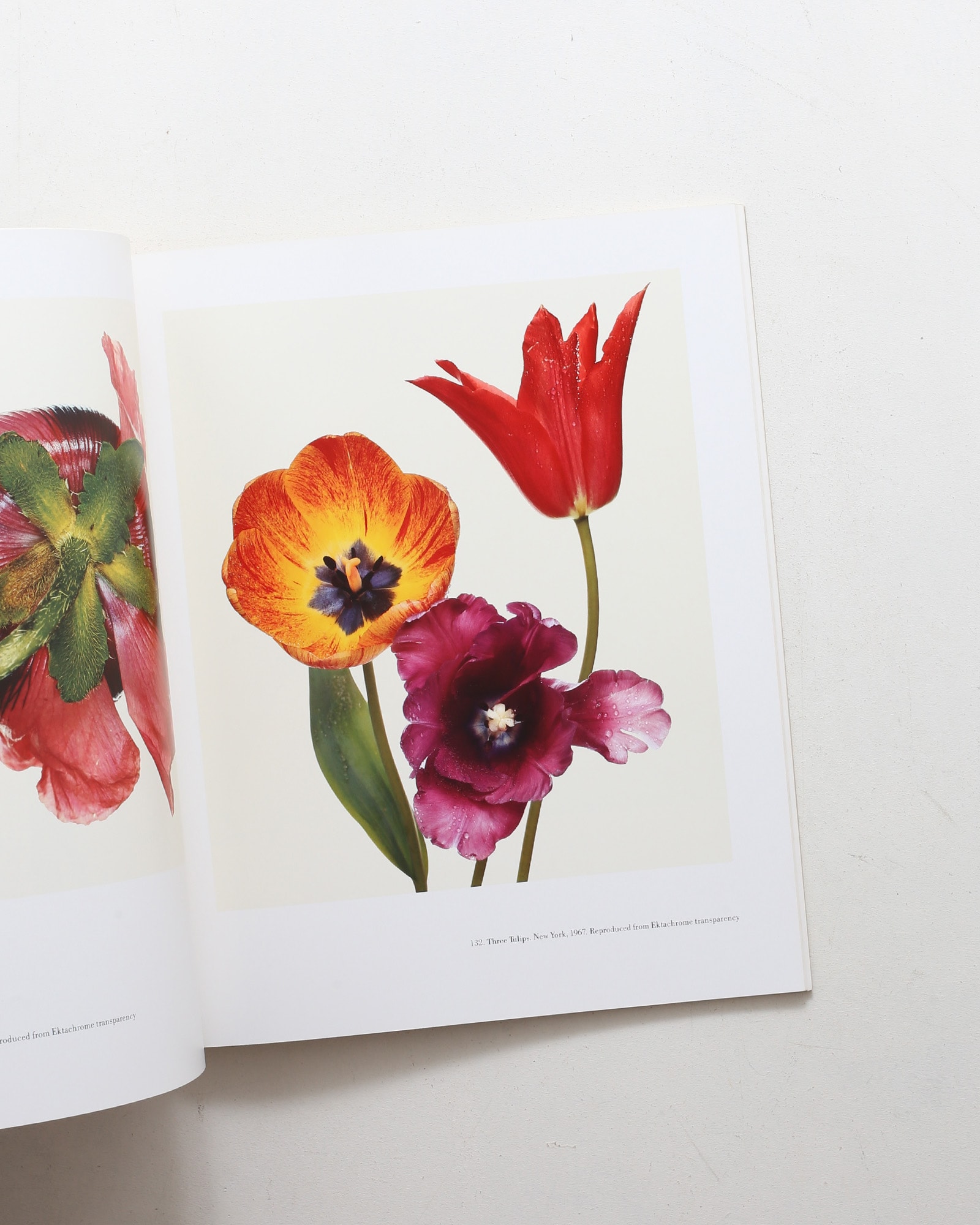 Irving Penn | John Szarkowski | nostos books ノストスブックス