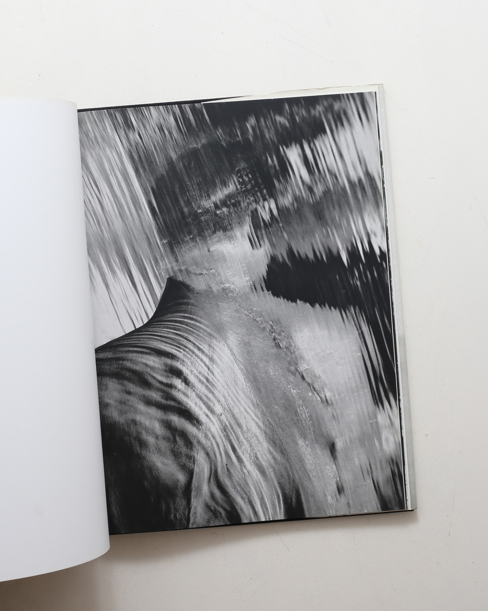 Herb Ritts: Pictures | nostos books ノストスブックス