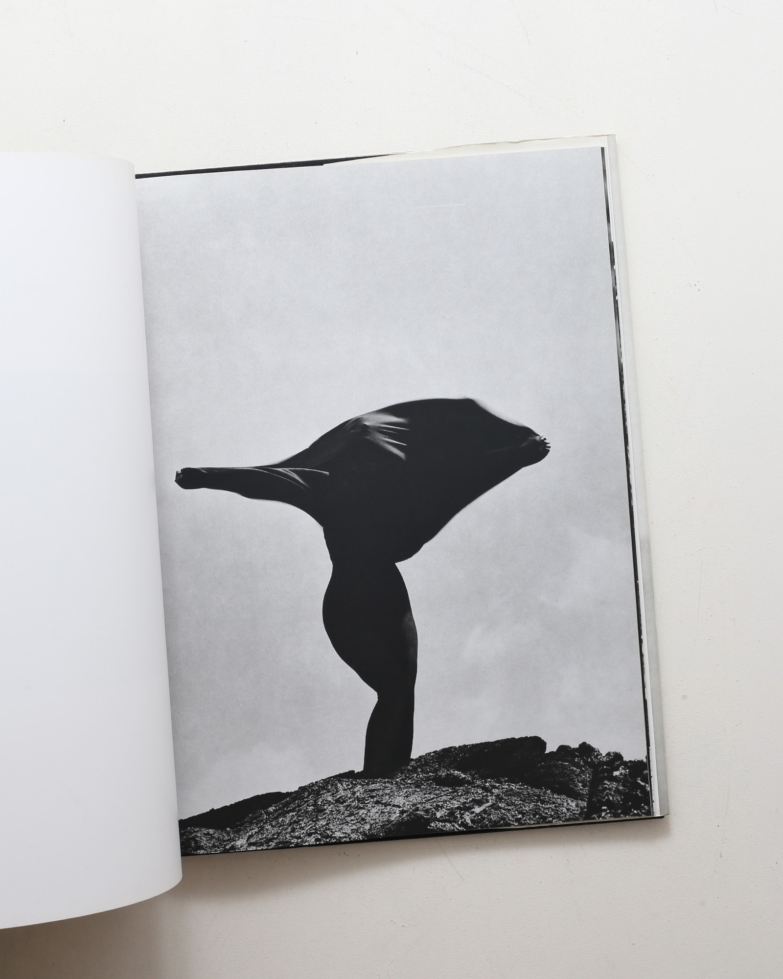 Herb Ritts: Pictures | nostos books ノストスブックス