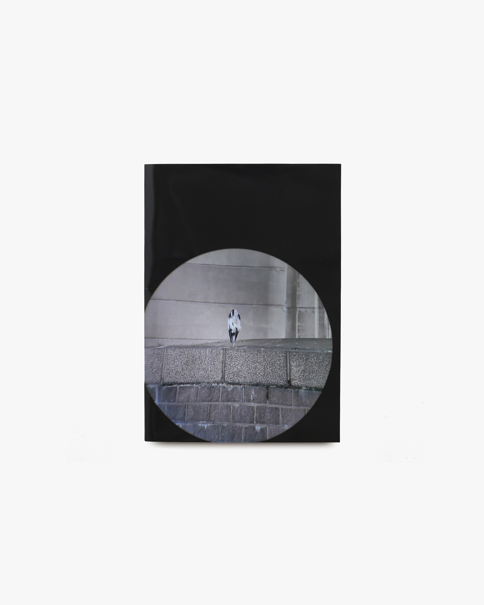 nsts-20867