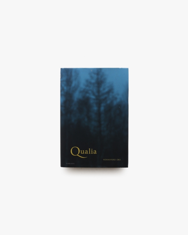 Qualia | 大木啓至