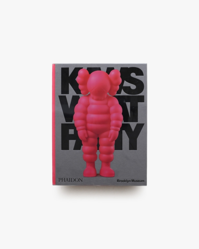 KAWS: What Party