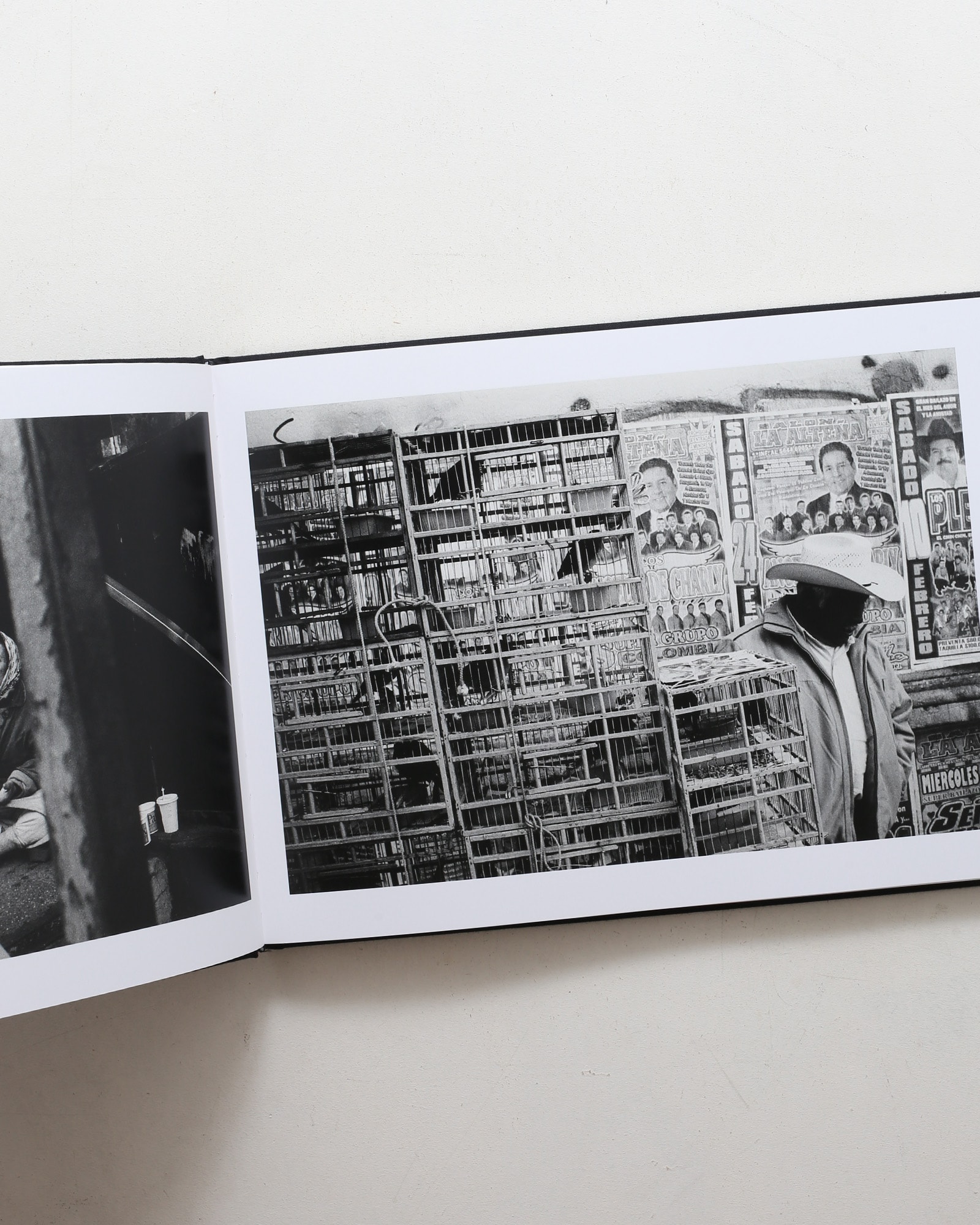 Boogie（Limited Edition） | nostos books ノストスブックス