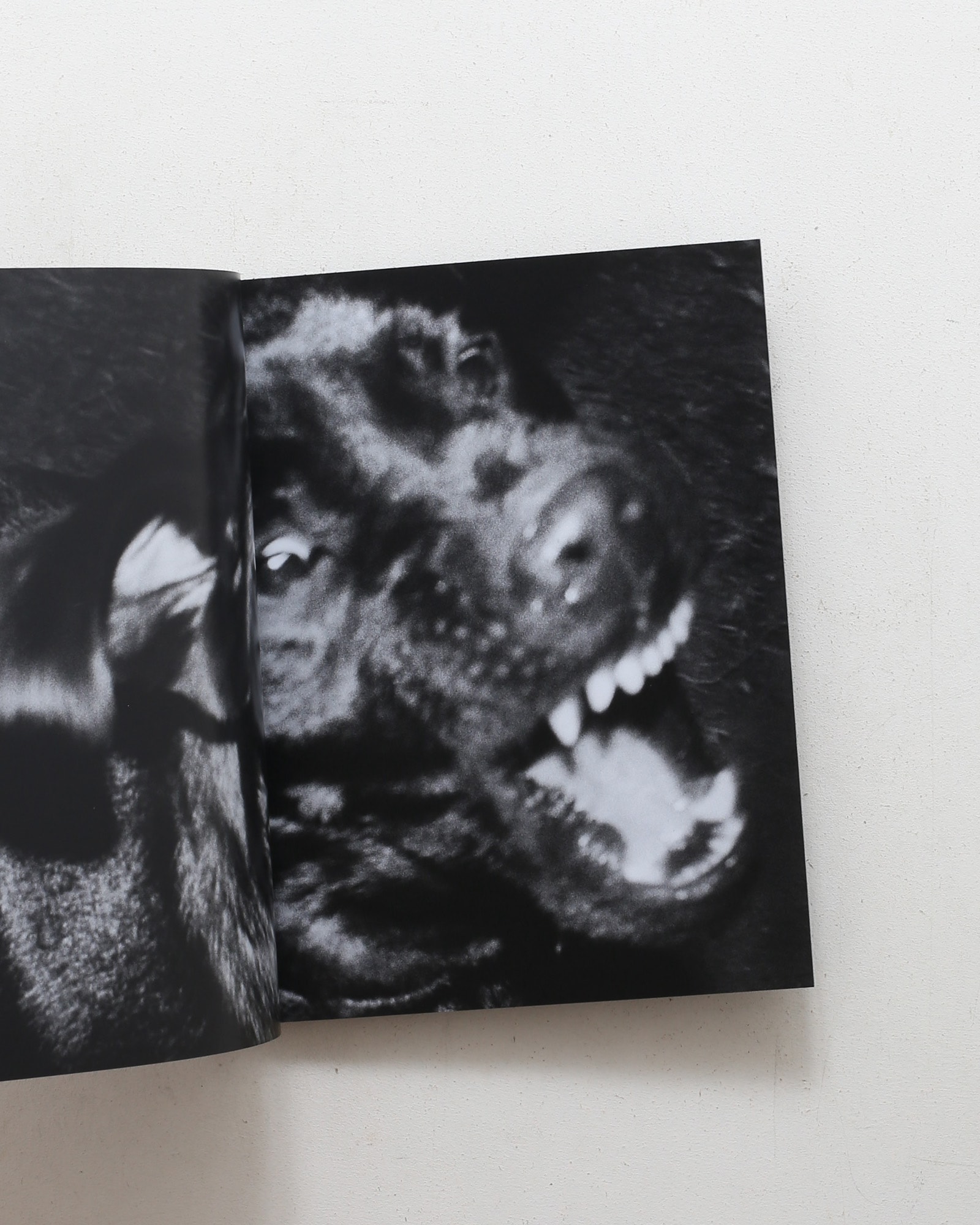 nsts-21103
