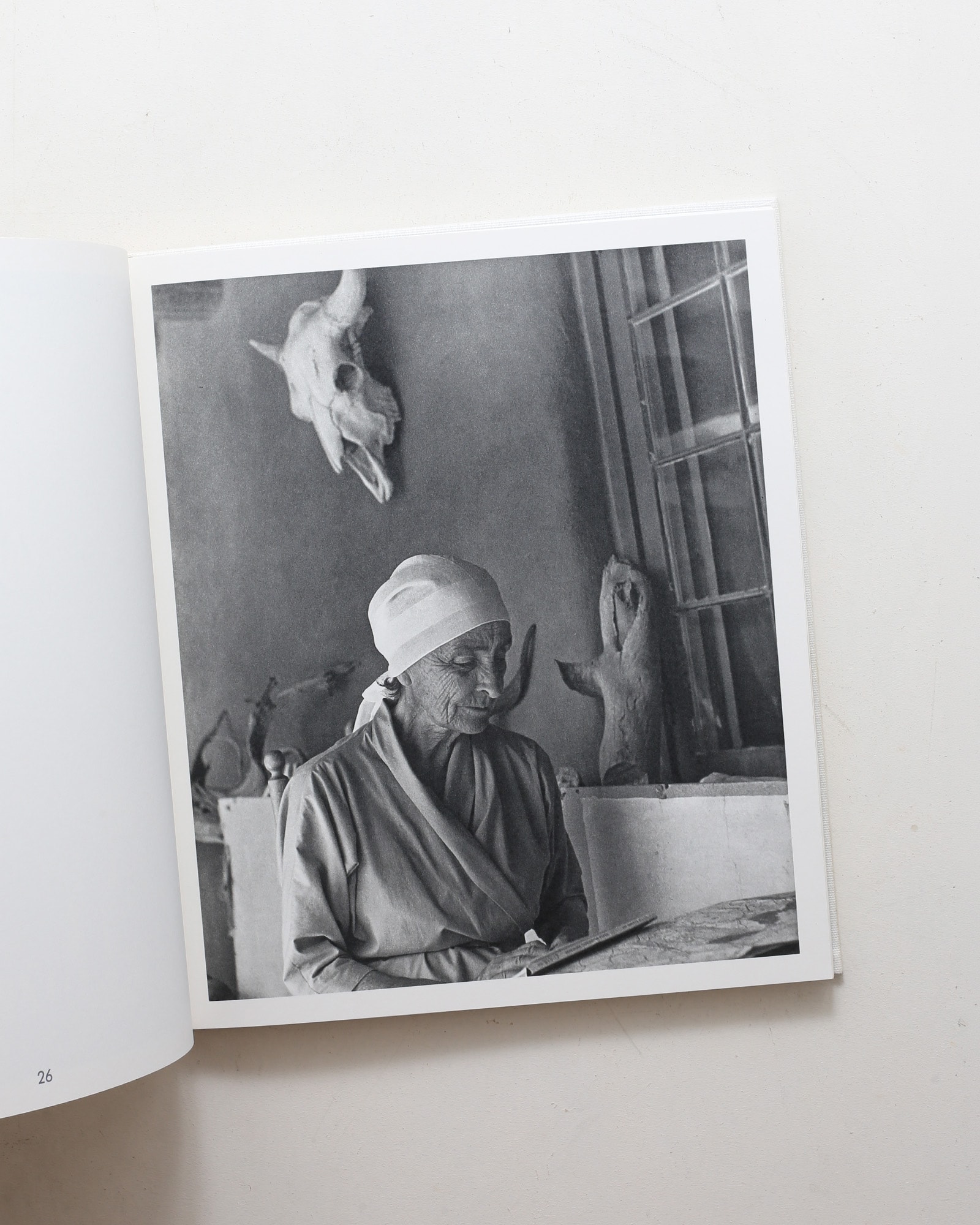 Georgia O'Keeffe: The Artist's Landscape | Todd Webb | nostos