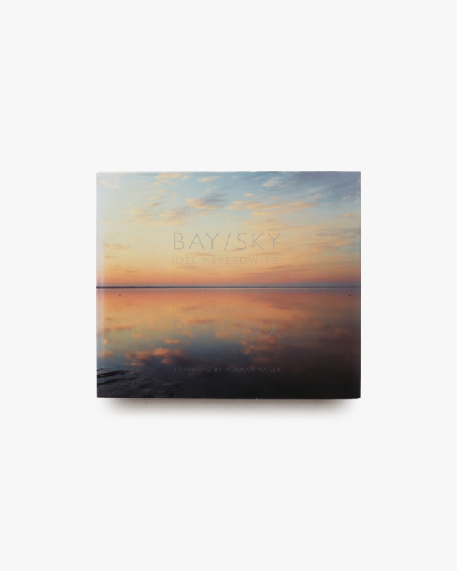 Bay／Sky | Joel Meyerowitz