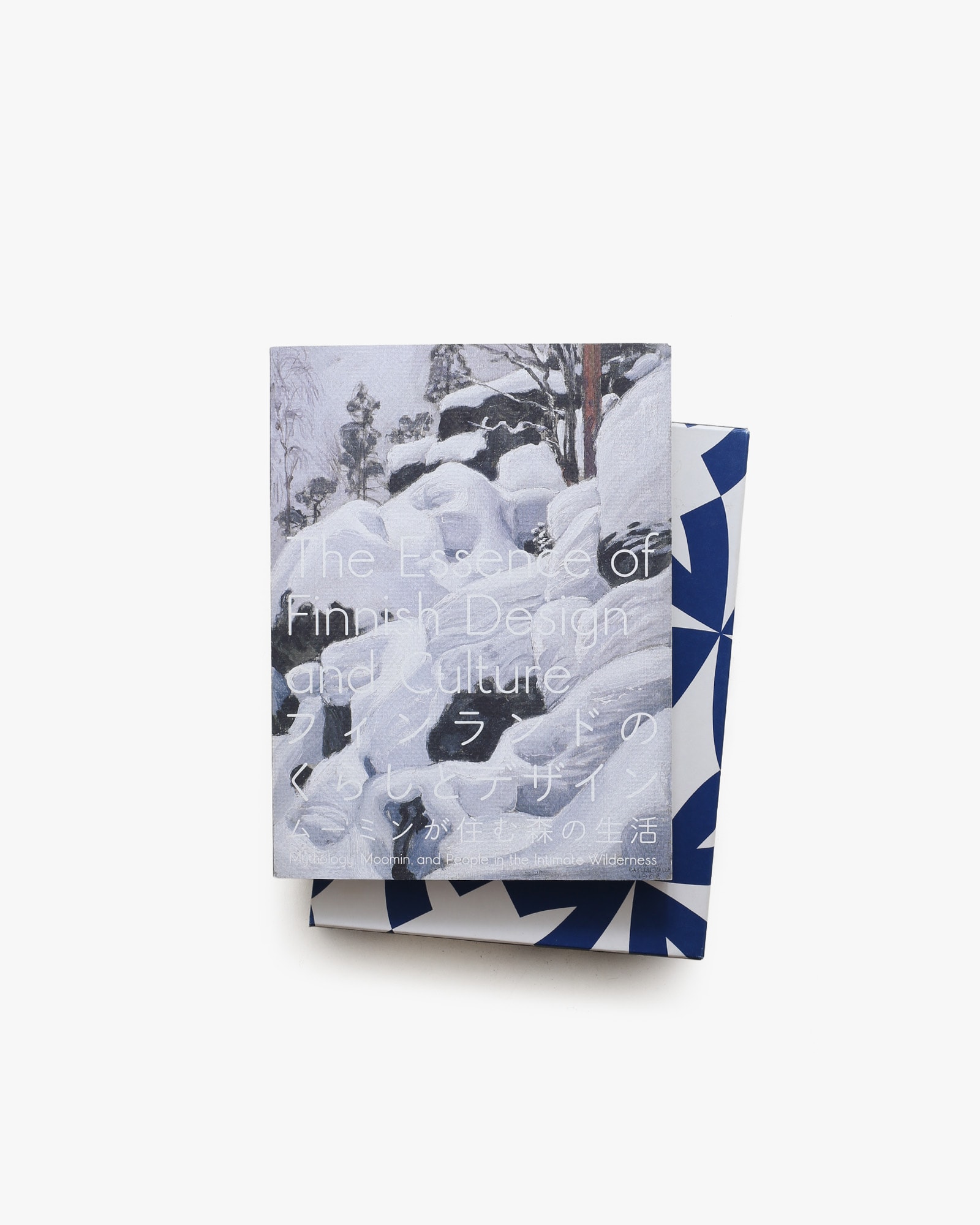 nsts-07339