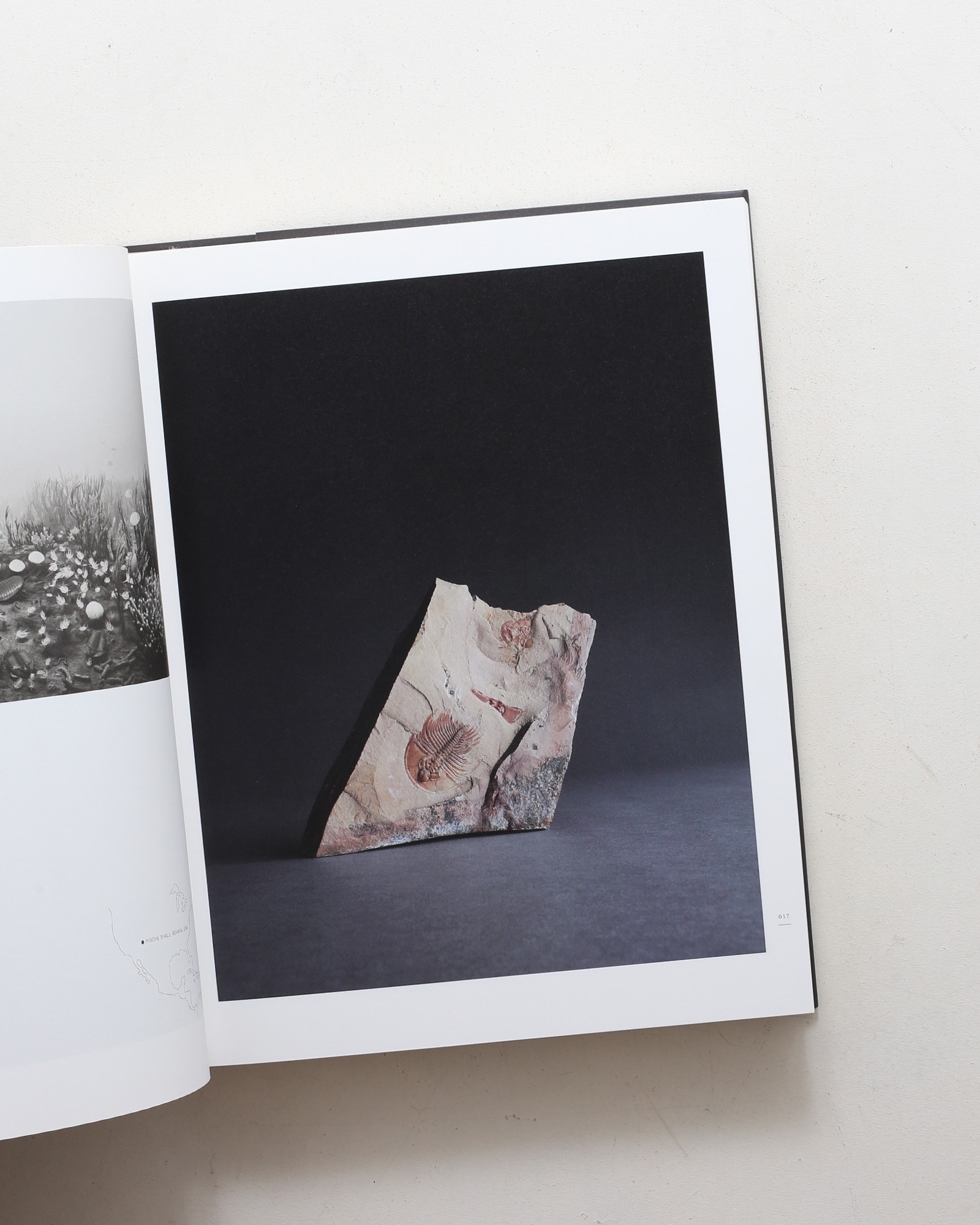 nsts-08110