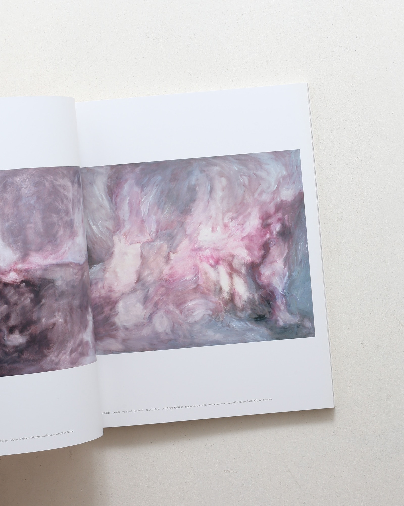nsts-08984