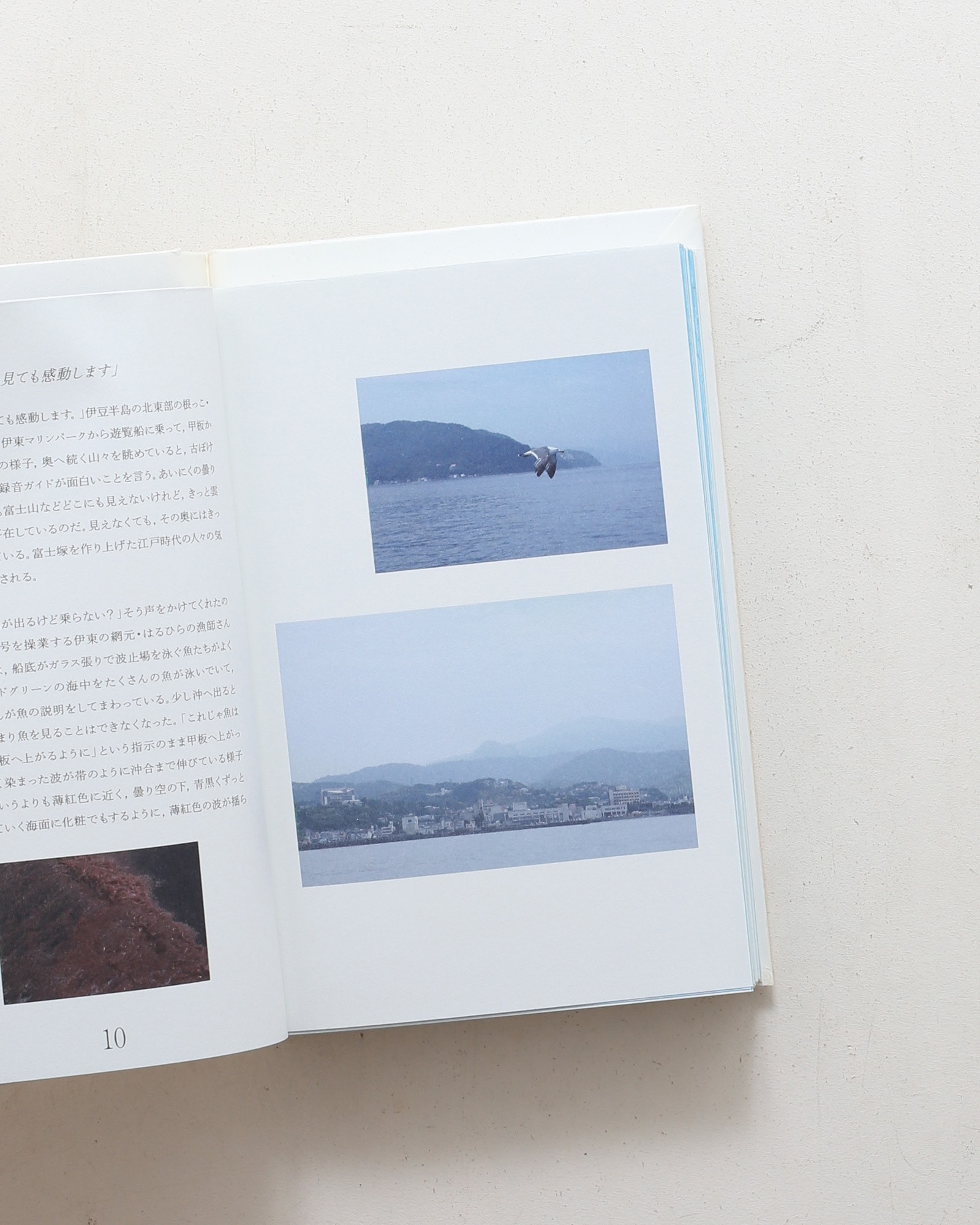 nsts-09088