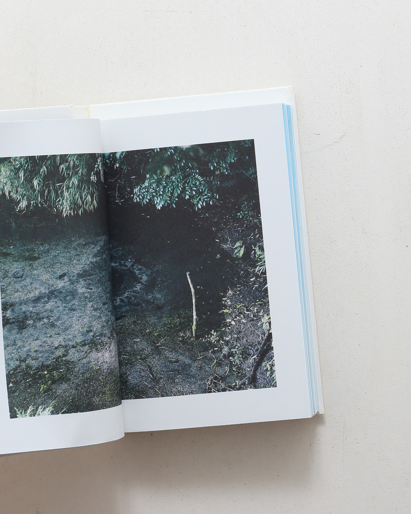 nsts-09088