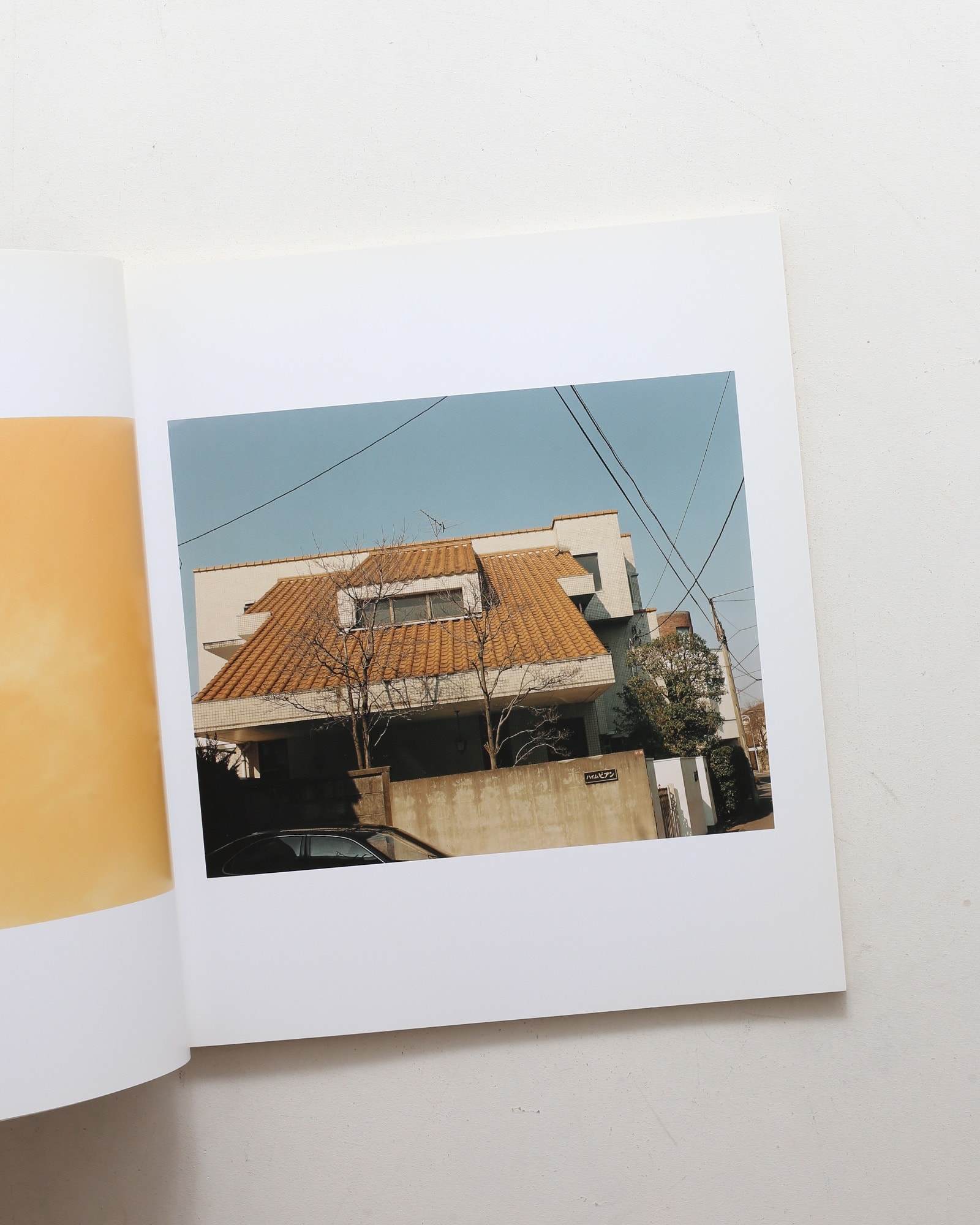 生きている | 佐内正史 | nostos books ノストスブックス