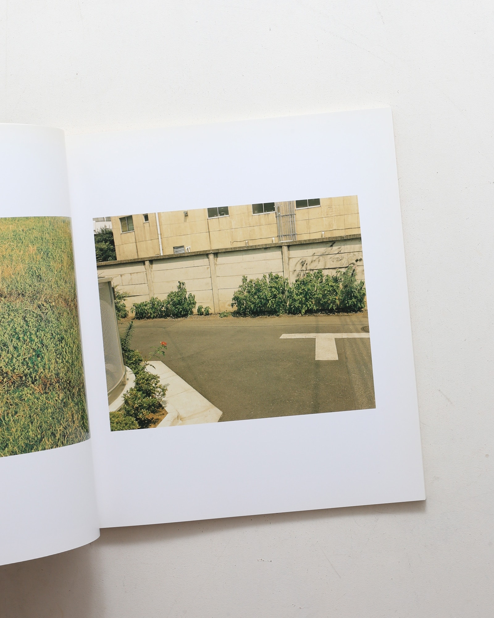 生きている | 佐内正史 | nostos books ノストスブックス
