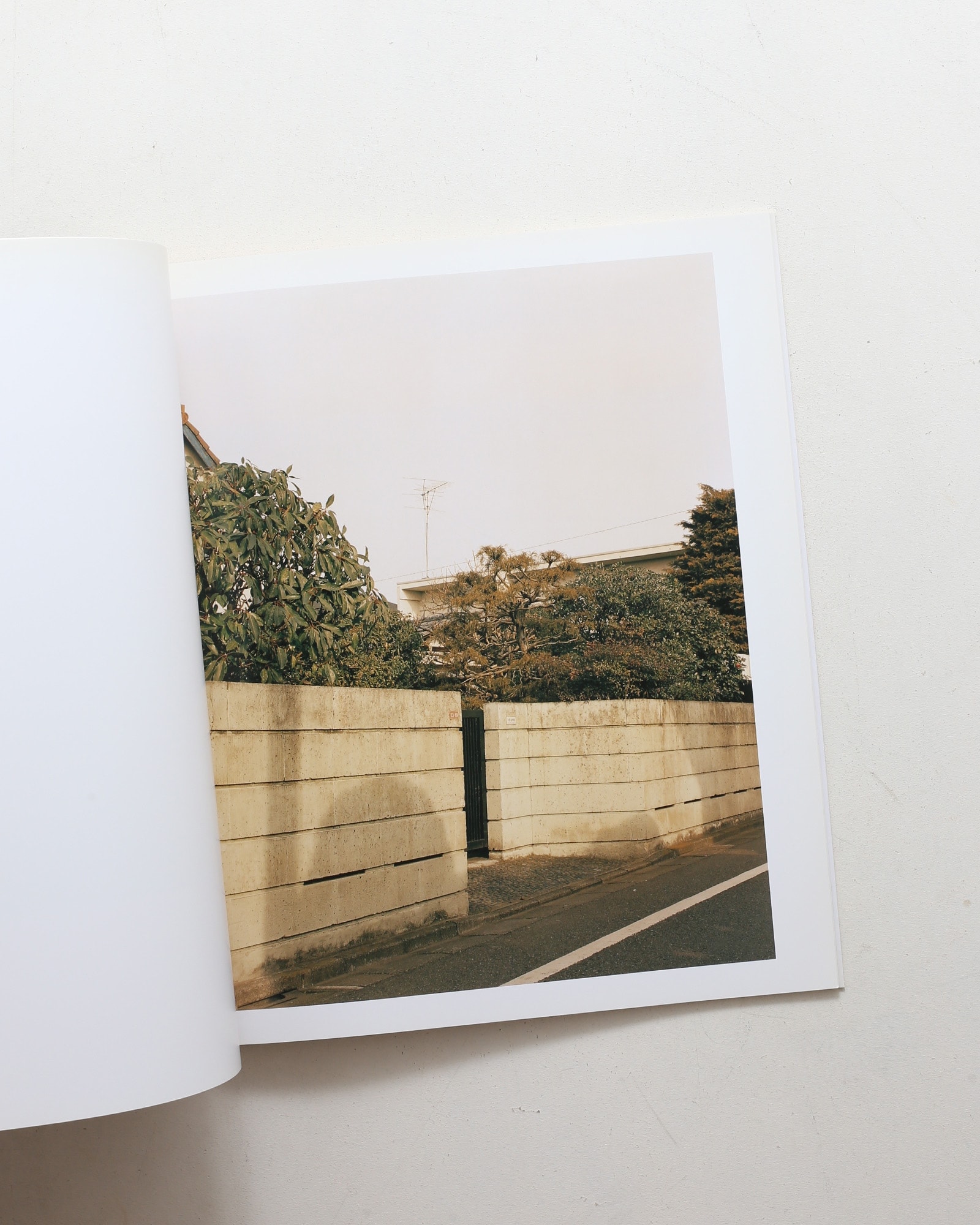 生きている | 佐内正史 | nostos books ノストスブックス