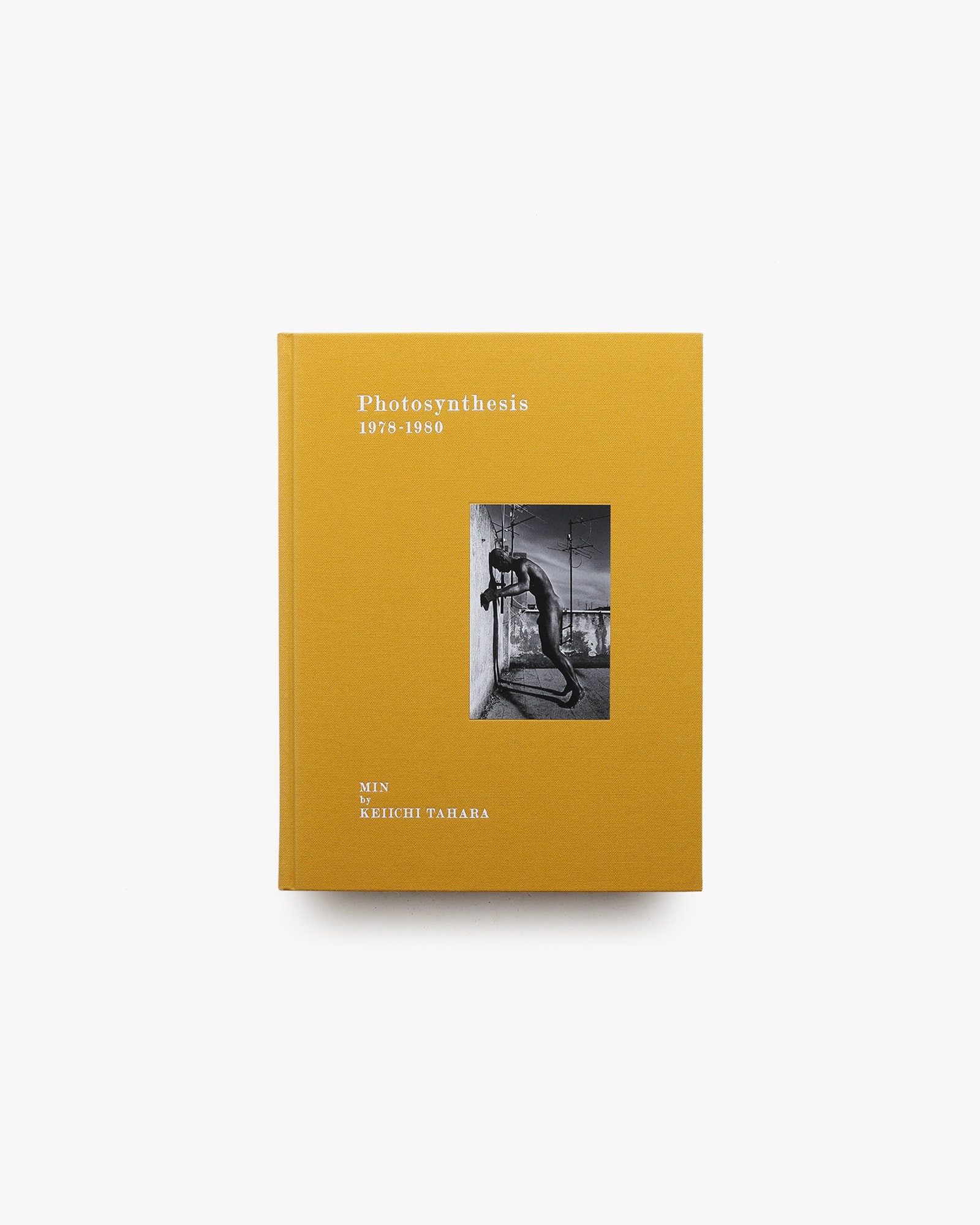 Photosynthesis 1978-1980 | 田原桂一 | nostos books ノストスブックス