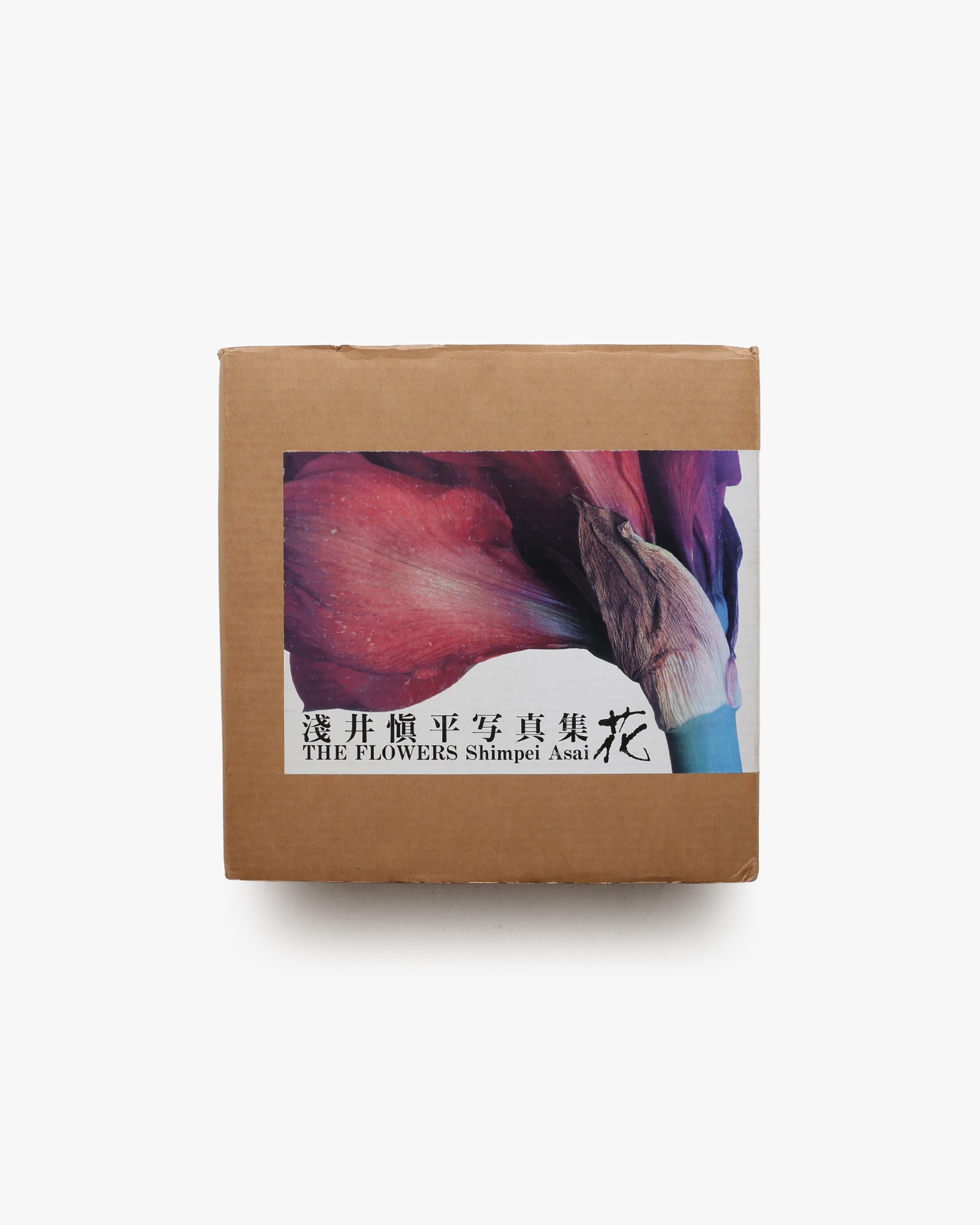 nsts-21233