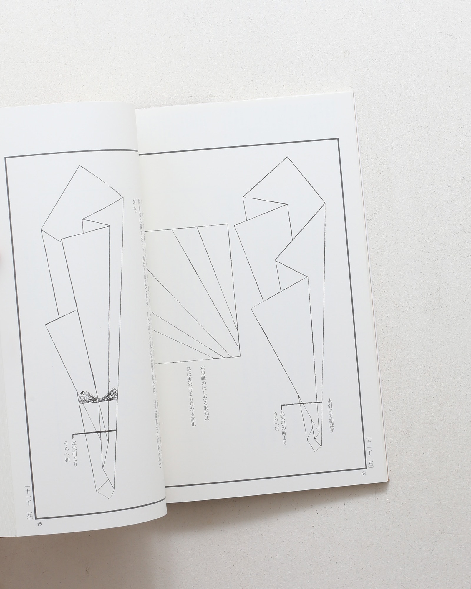 nsts-02204